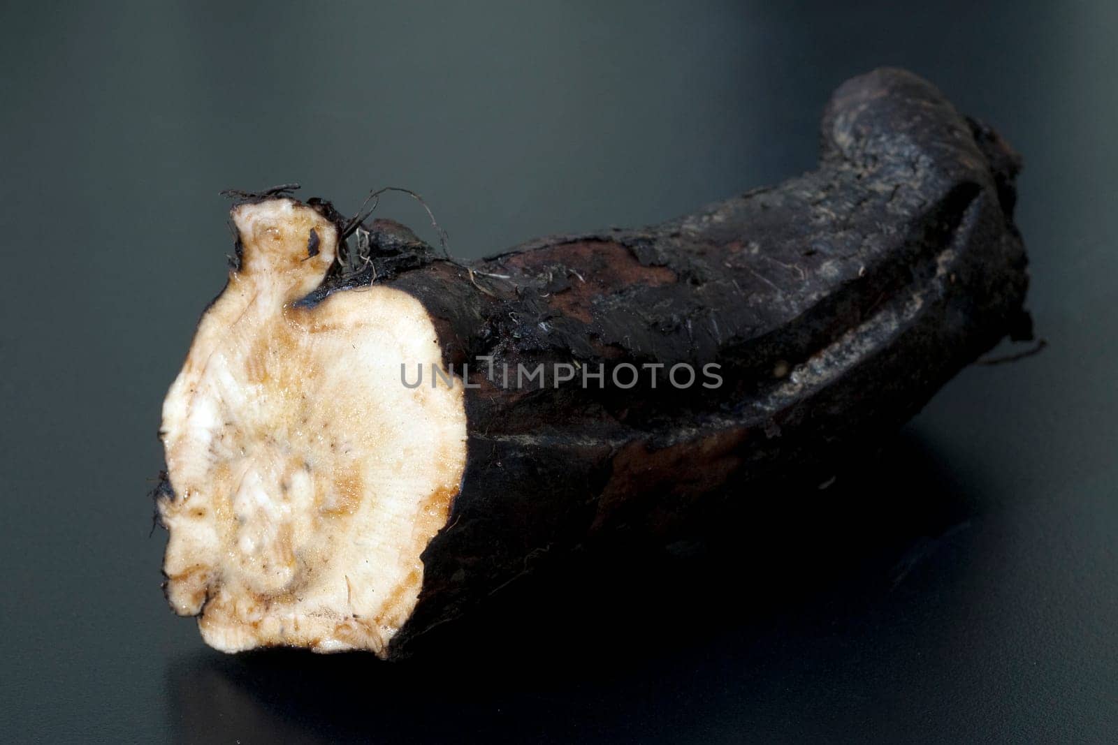 Beinwellwurzel, Symphytum  officinale