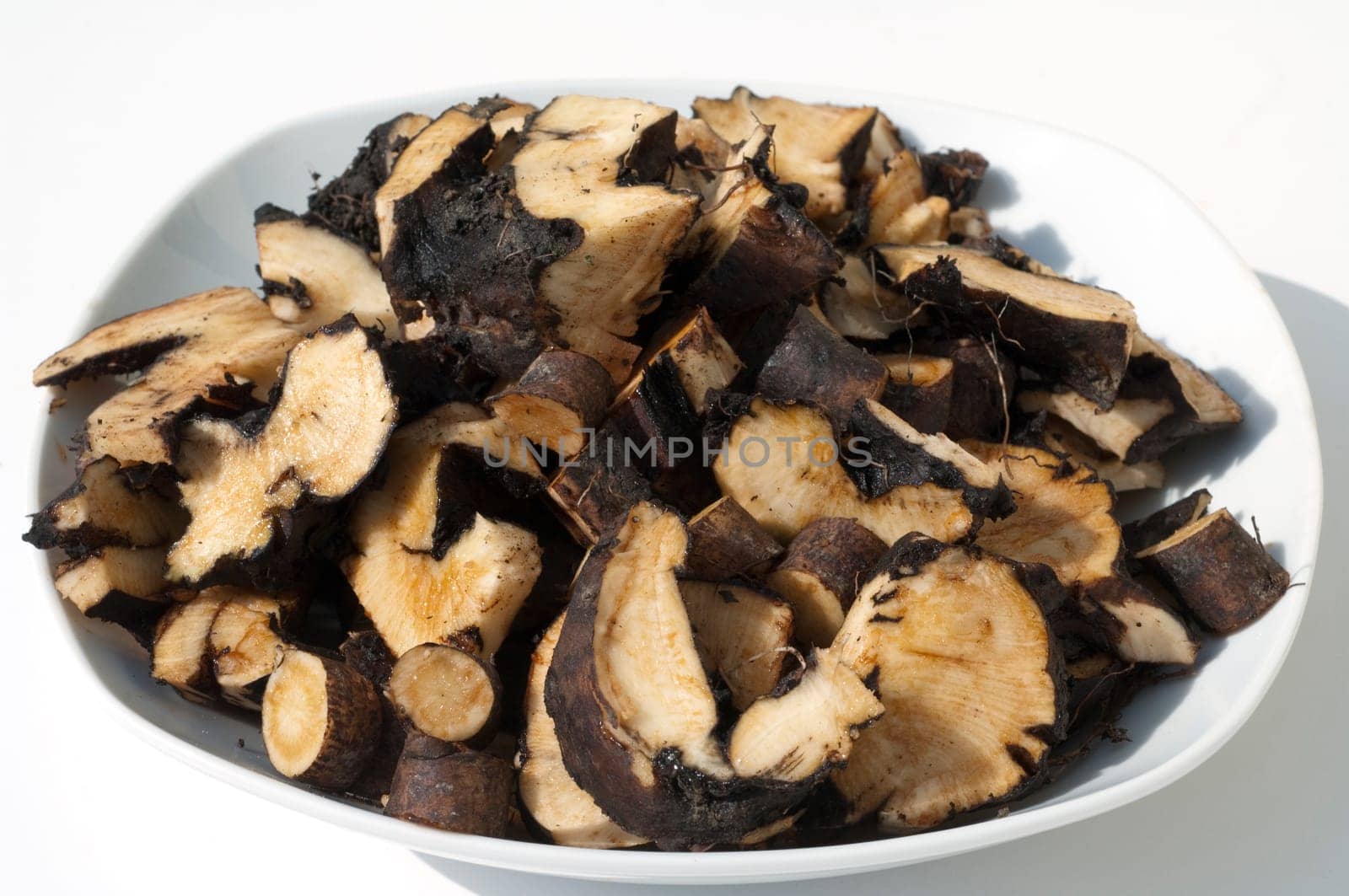 Beinwellwurzel, Symphytum  officinale