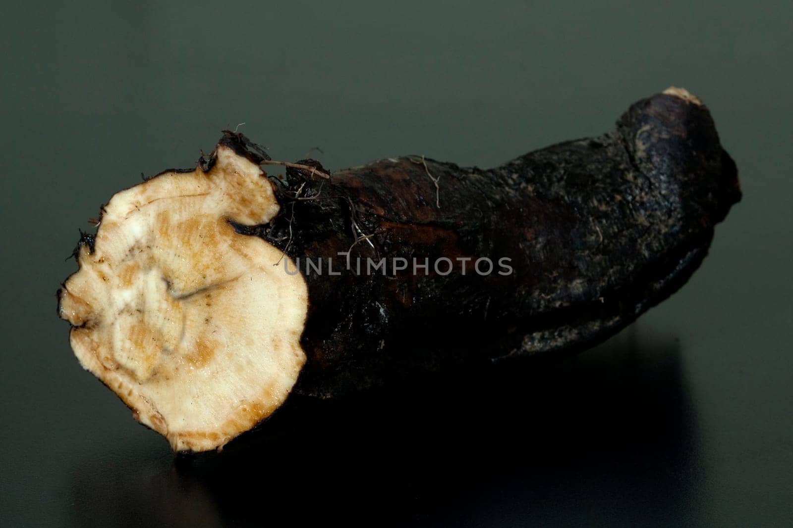 Beinwellwurzel, Symphytum  officinale