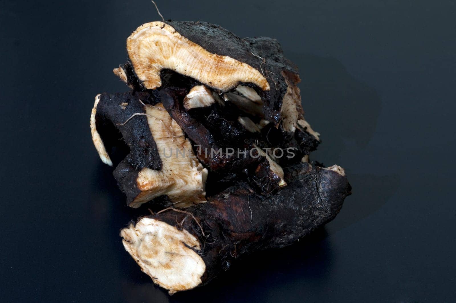 Beinwellwurzel, Symphytum  officinale