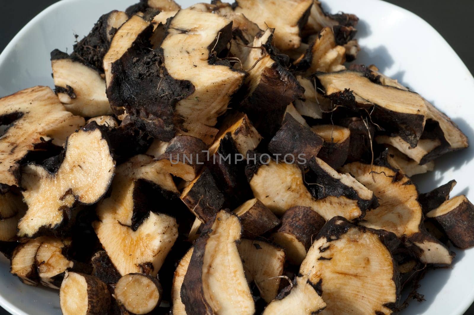 Beinwellwurzel, Symphytum  officinale