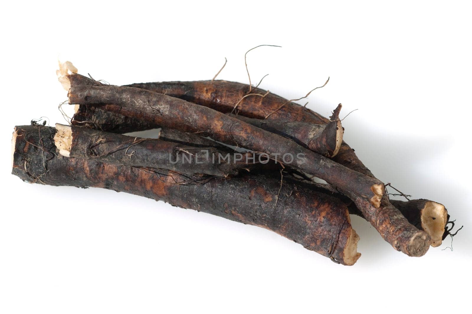 Beinwellwurzel, Symphytum  officinale