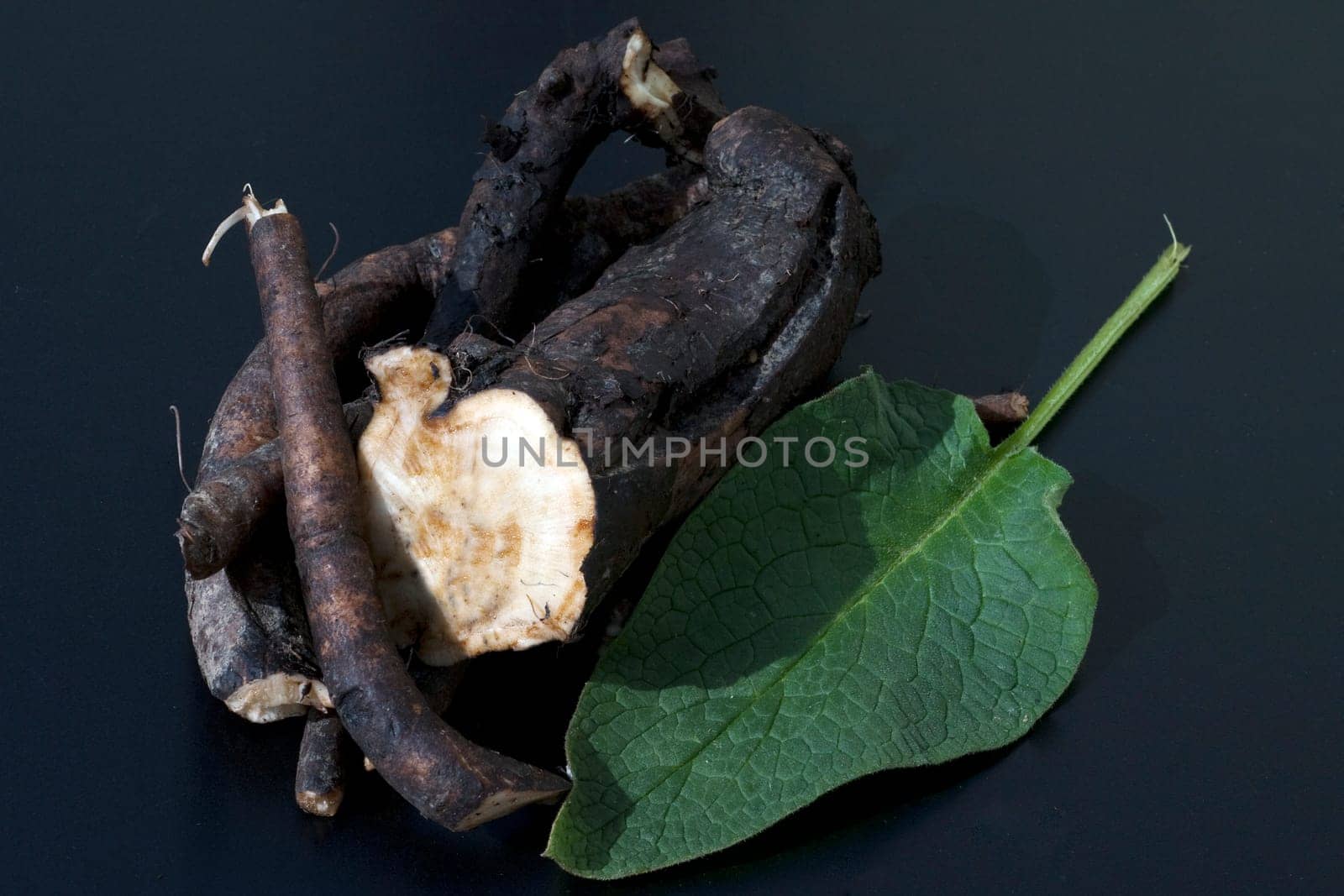 Beinwellwurzel, Symphytum  officinale
