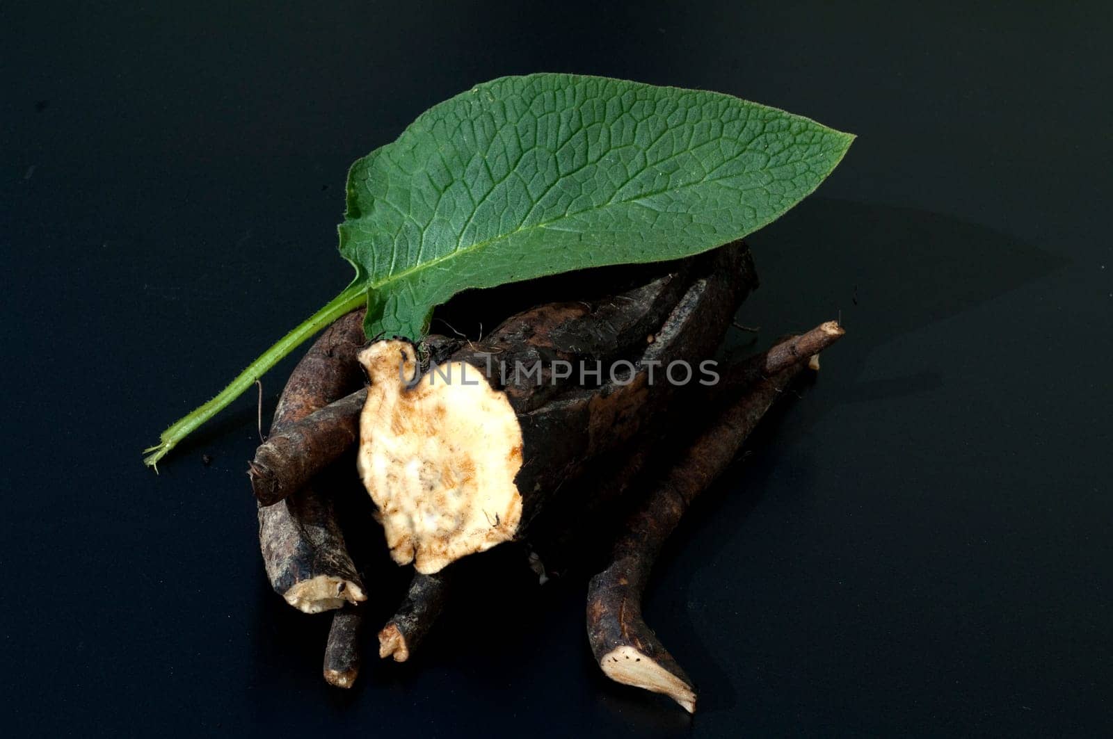 Beinwellwurzel, Symphytum  officinale