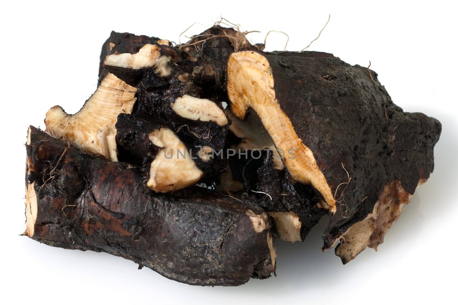 Beinwellwurzel, Symphytum  officinale