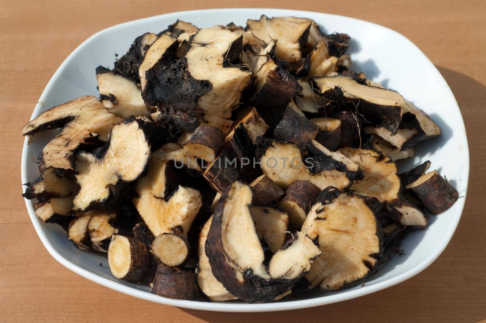 Beinwellwurzel, Symphytum  officinale