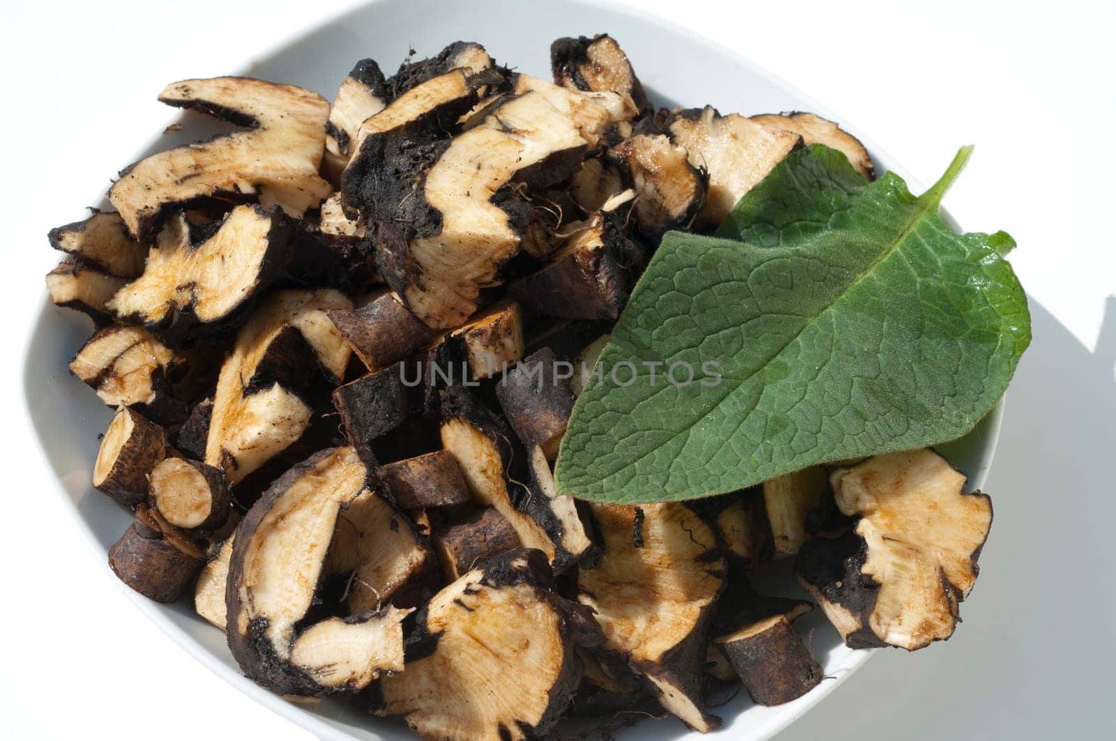 Beinwellwurzel, Symphytum  officinale