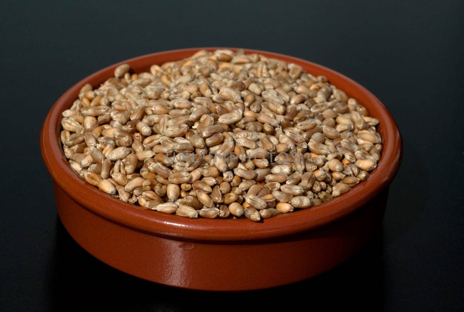 Triticale, Wintertriticale, Triticosecale, rimpauii