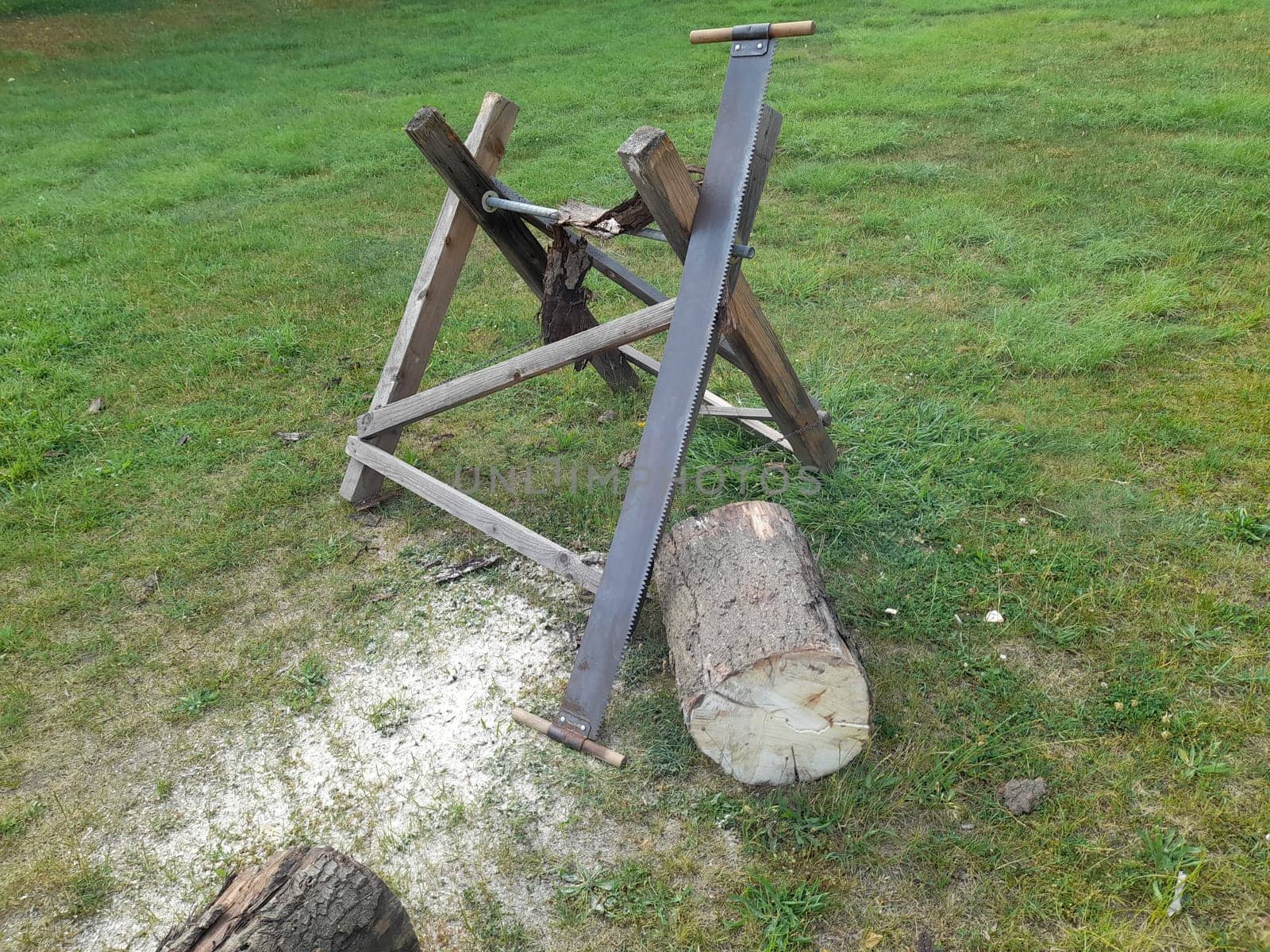 Sawing a tree trunk for a wedding, tradition for bridal couples with tree trunk, saw and sawhorse