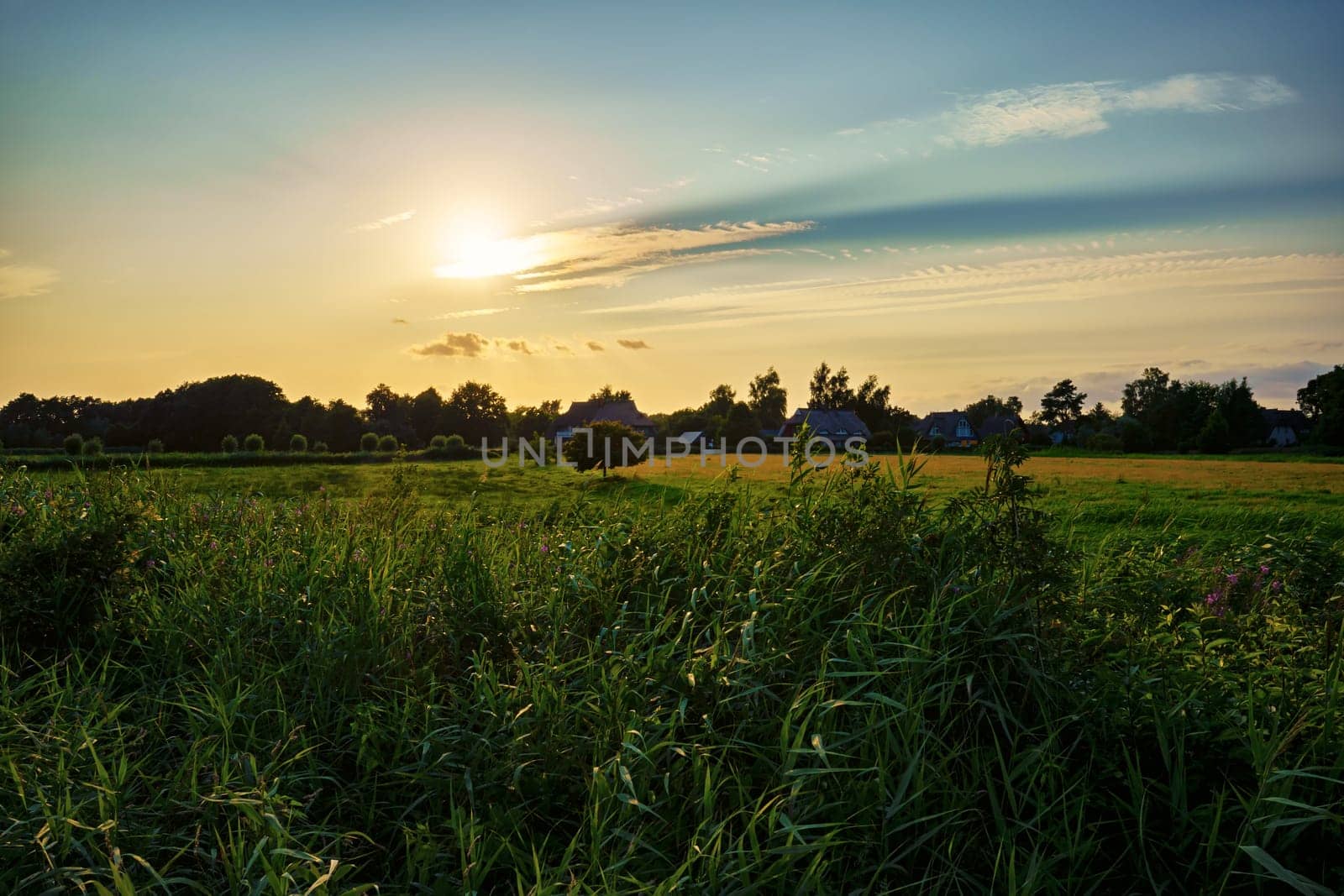 Landscape at the Barther Bodden, Fischland-Darss peninsula, Mecklenburg-West Pomerania, Germany