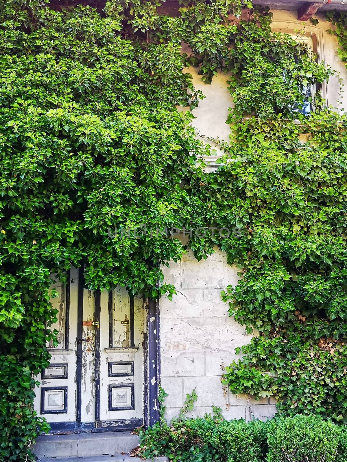 old back entrance in Zingst, Fischland-Darss peninsula, Mecklenburg-West Pomerania, Germany