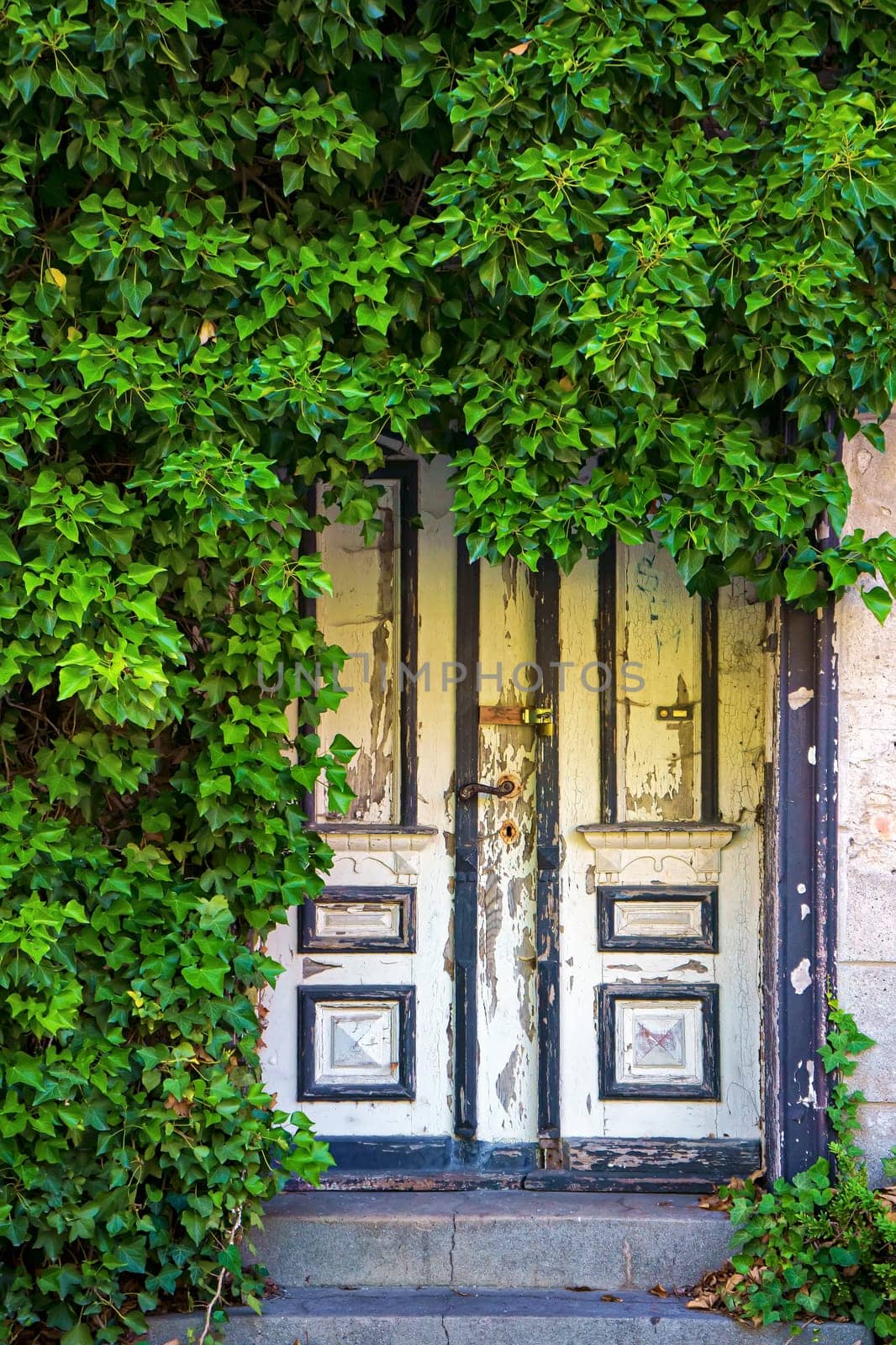 old back entrance in Zingst, Fischland-Darss peninsula, Mecklenburg-West Pomerania, Germany