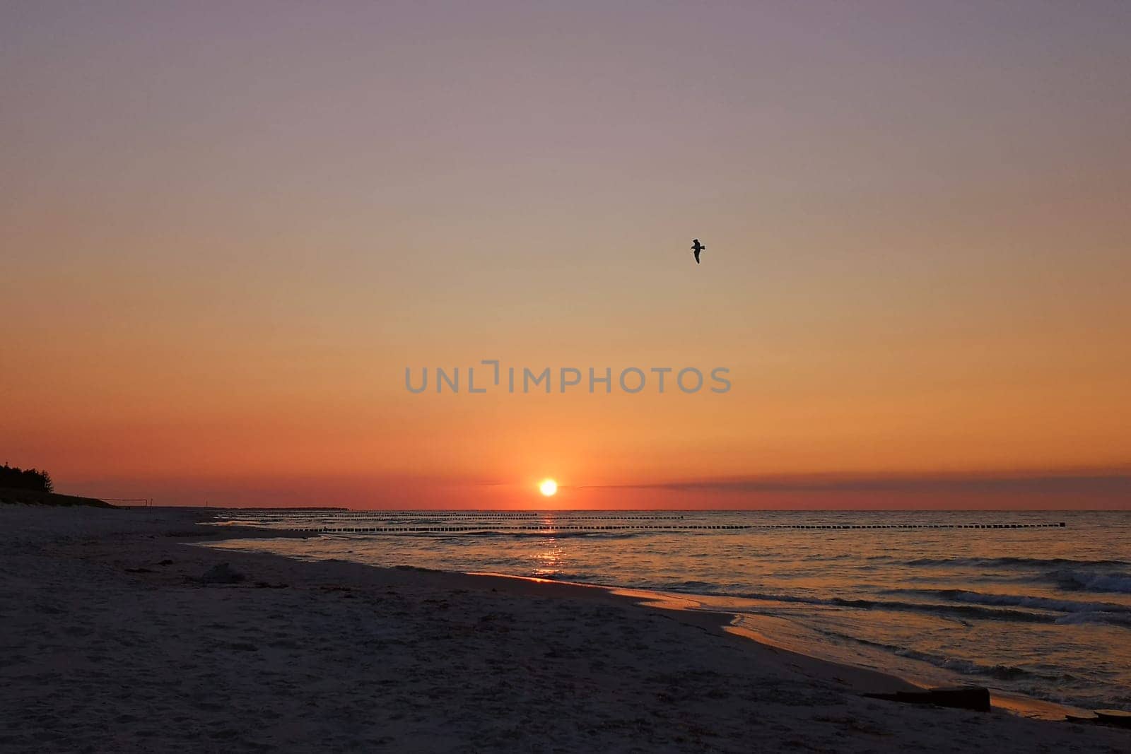 Sunset at the Baltic Sea coast near Zingst, Fischland-Darss peninsula, Mecklenburg-West Pomerania, Germany