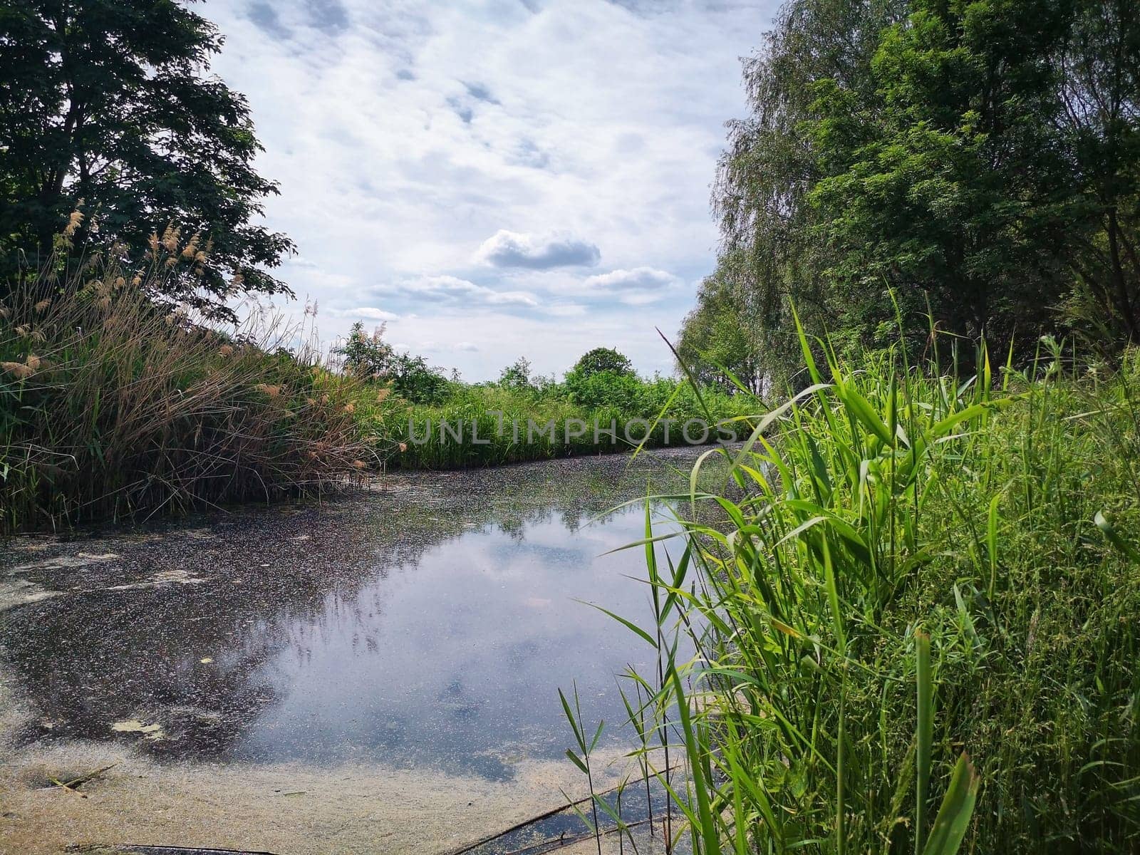 small canal in Brandenburg countryside, Germany