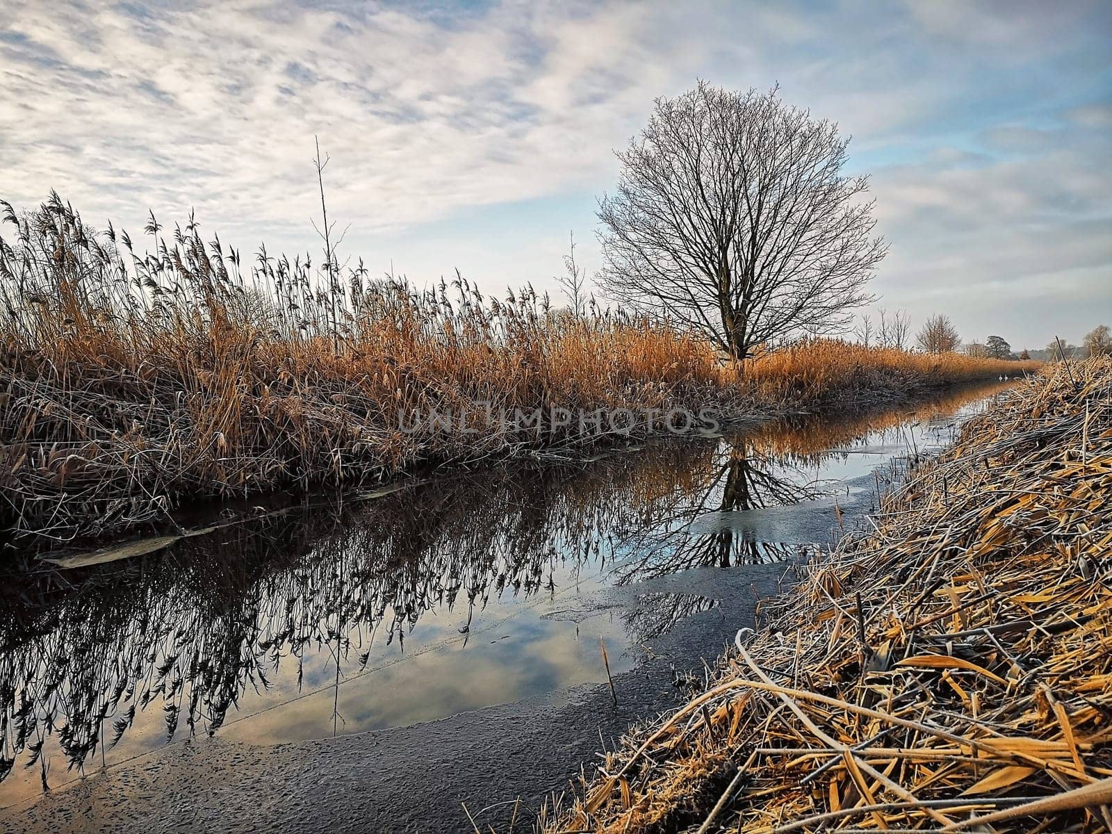 small canal in Brandenburg countryside, Germany