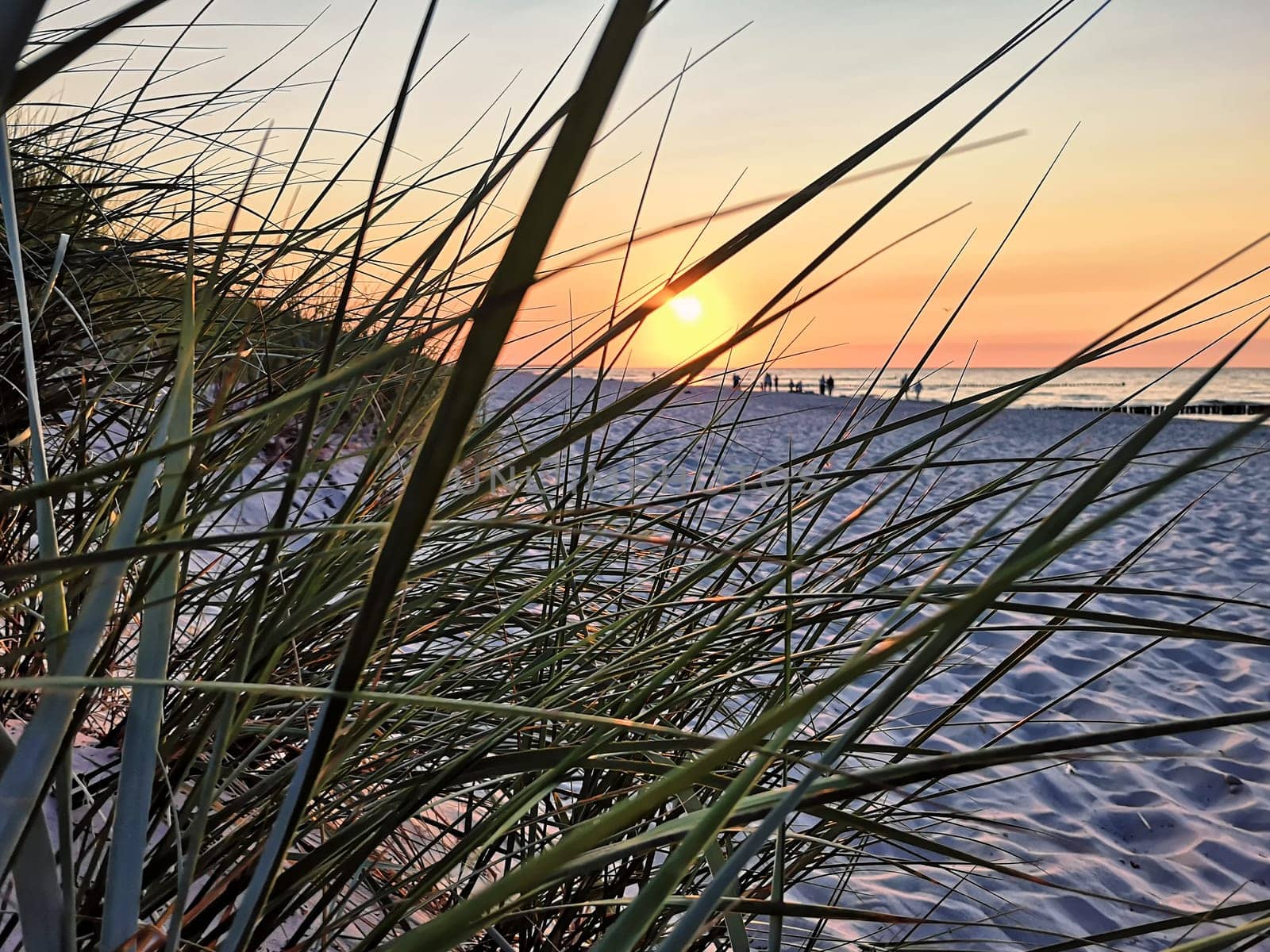 Sunset at the Baltic Sea coast near Zingst, Fischland-Darss peninsula, Mecklenburg-West Pomerania, Germany