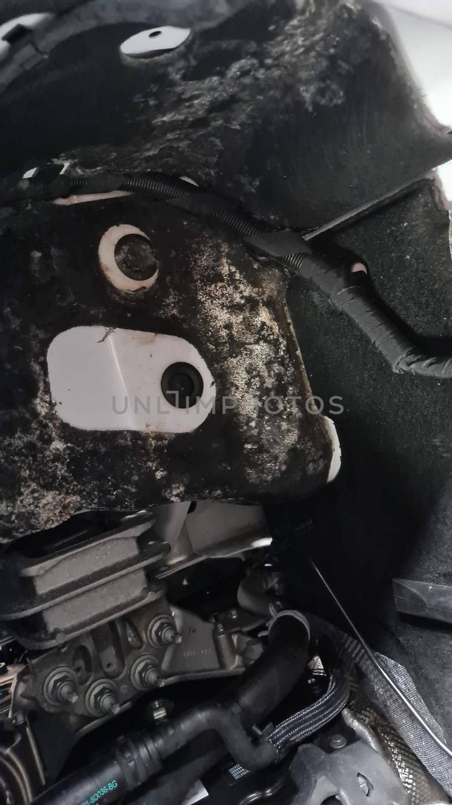 Mold in the engine compartment of a mobile home after a bad design of the drainage channel.Mold in the engine compartment of an RV