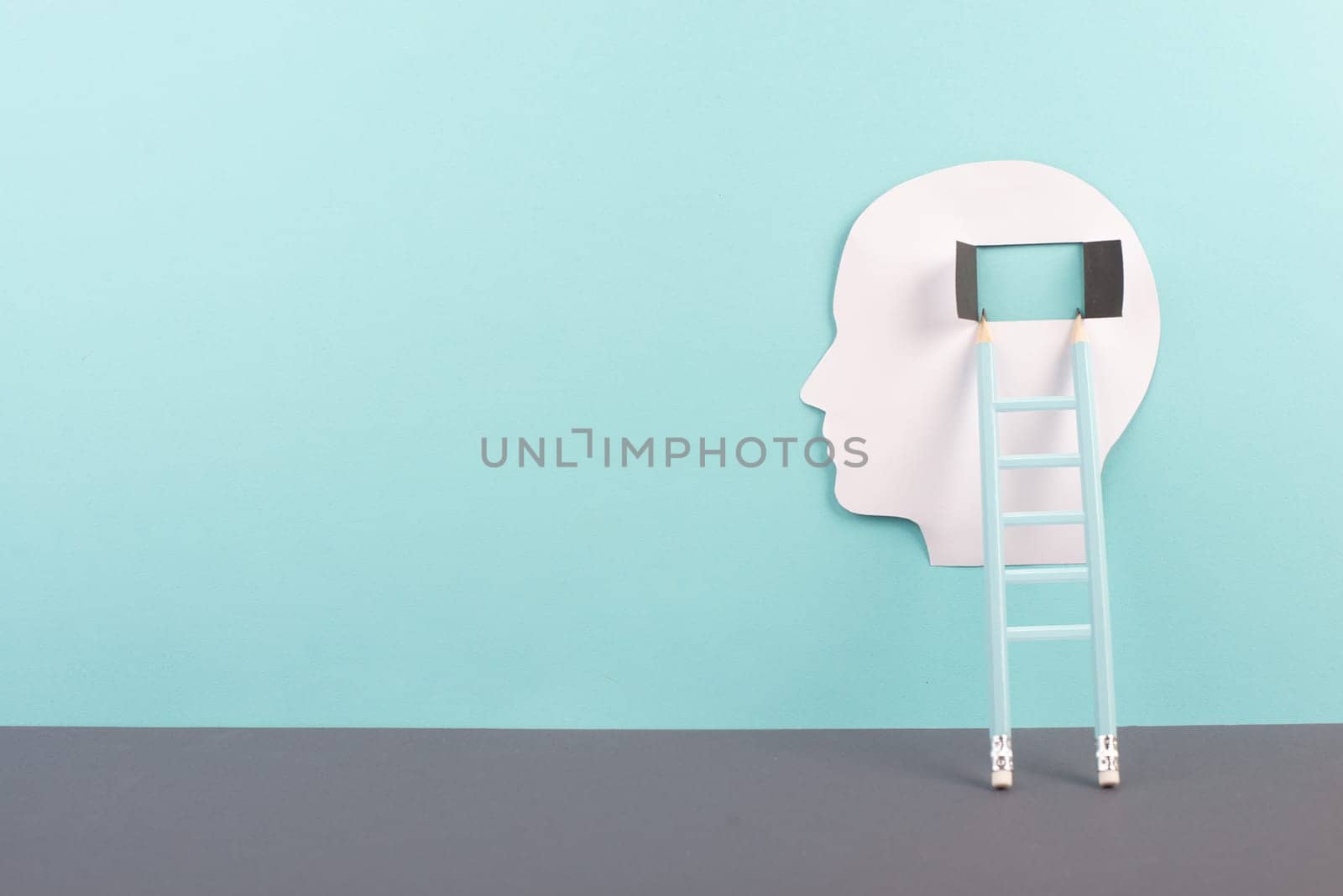 Silhouette of a man, window to the brain, ladder of success, open minded, brainstorming for ideas, disorder and psychology concept