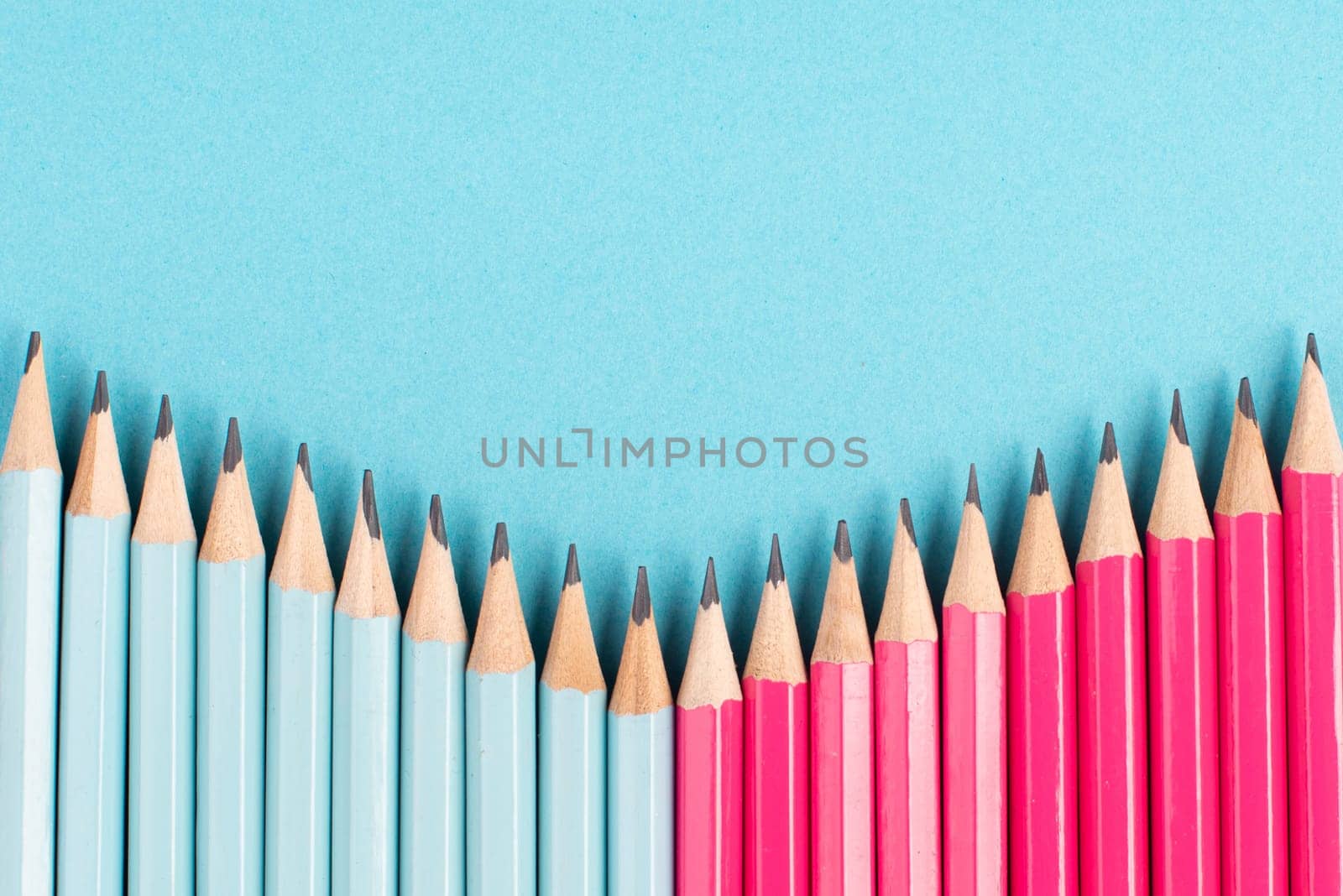 Blue and pink colored pencils building a row, copy space for text, back to school, education concept