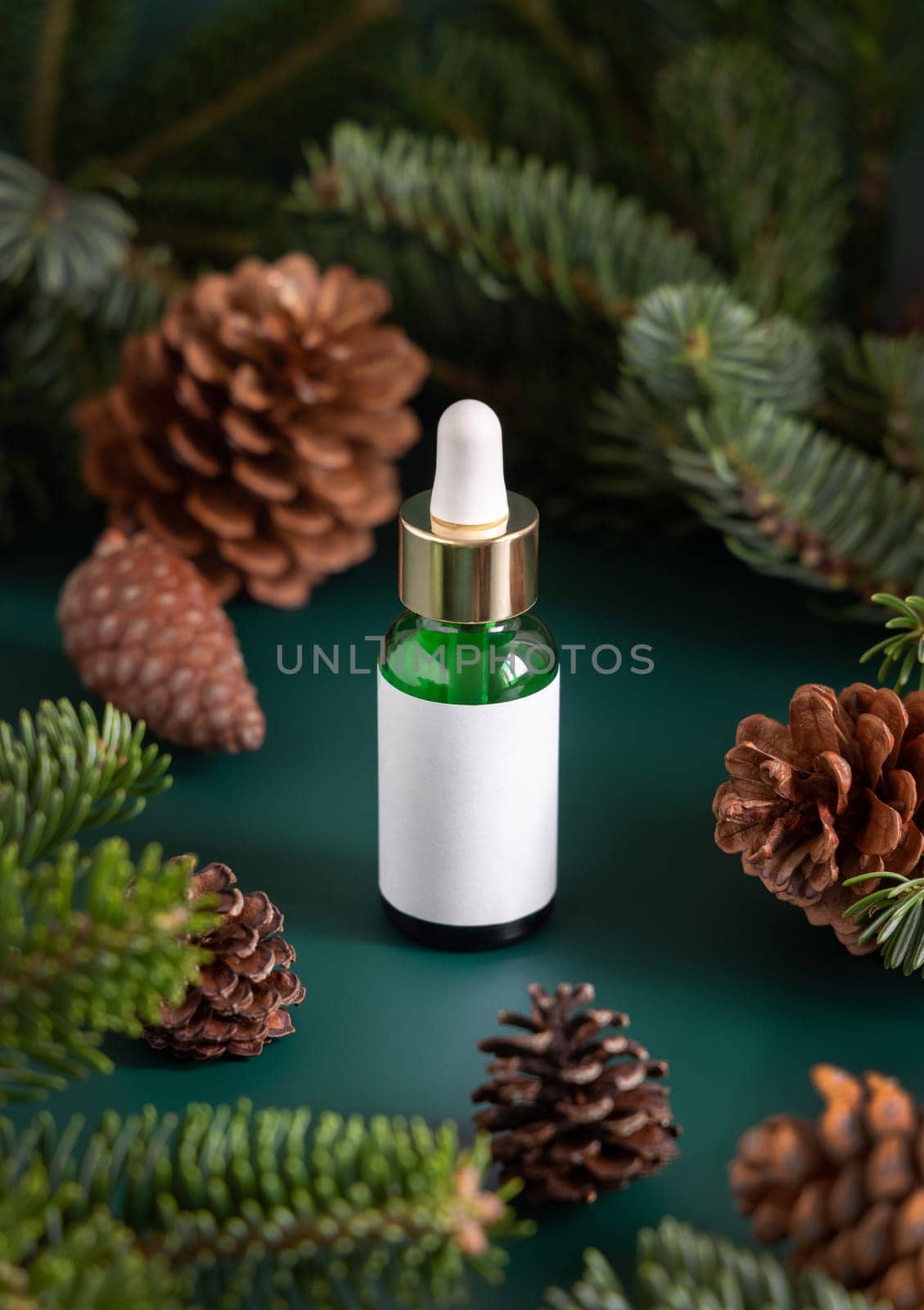 Green Pipette Dropper Bottles with blank label near fir branches and pine cones close up. Brand packaging mockup. Skincare beauty product, cream or serum. Natural cosmetics concept