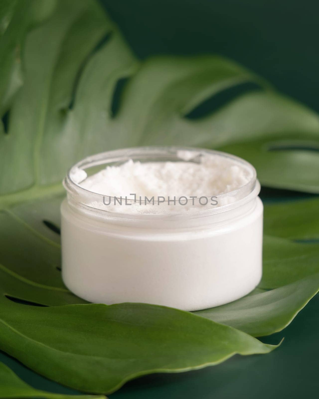 Opened White jar on monstera leaf on green table close up. Brand packaging mockup. Skincare beauty product, cream or butter. Making homemade herbal cosmetics from natural ingredients..