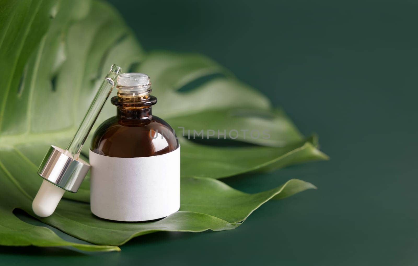 Opened Dropper Bottle on tropical monstera leaf on green table close up. Brand packaging mockup. Aromatic oil, skincare beauty product, cream or serum. Natural herbal cosmetics concept..