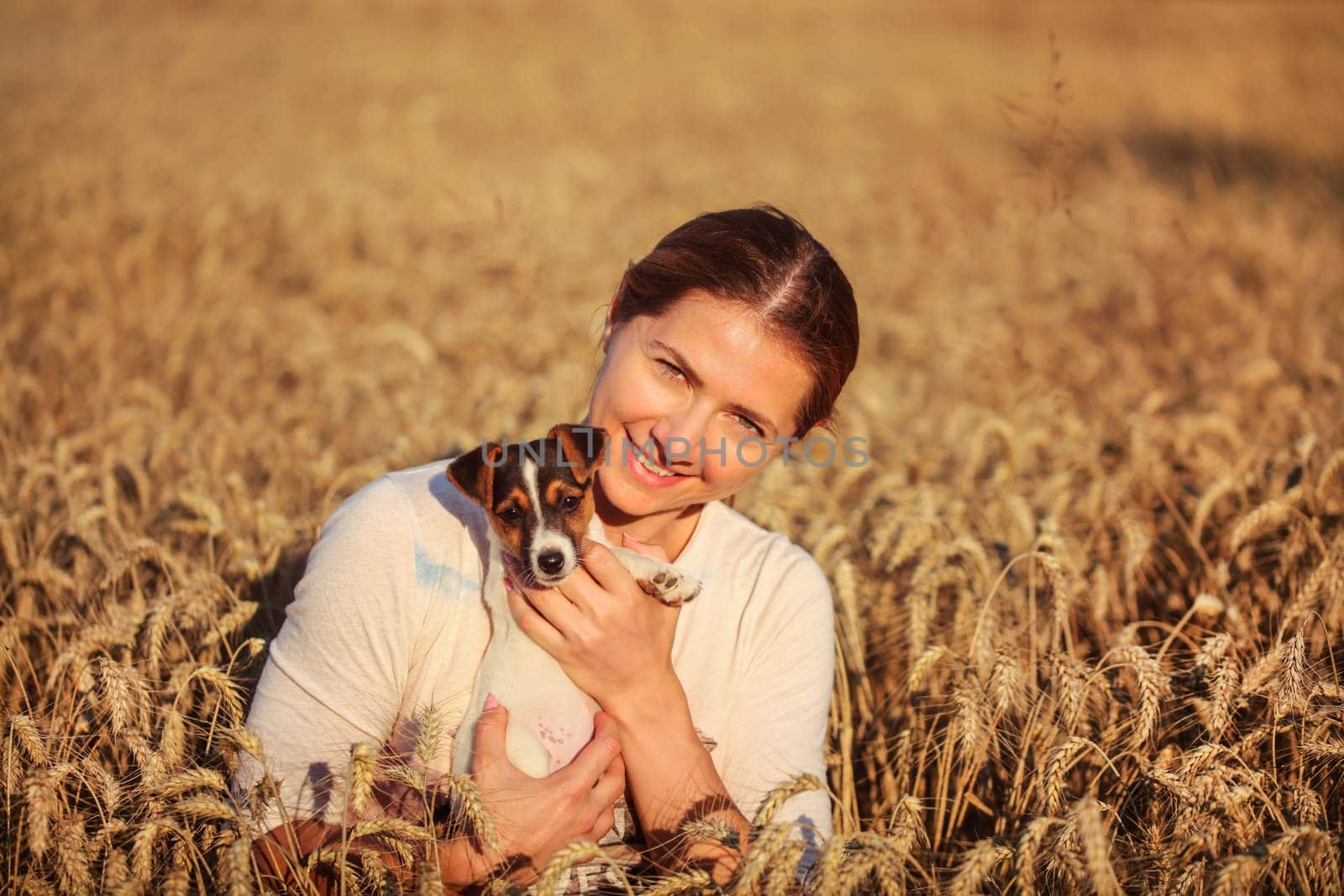 Young brunette woman holding Jack Russell terrier puppy on her hands, smiling, sunset lit wheat field behind her.