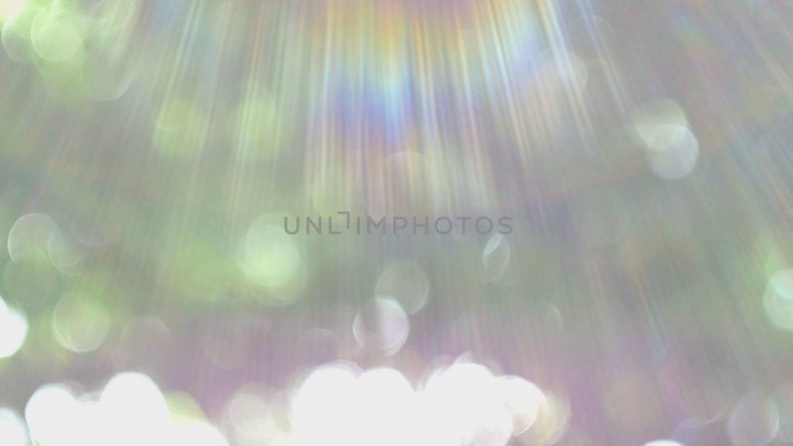 Bokeh Light From The Sun Through The Leaves