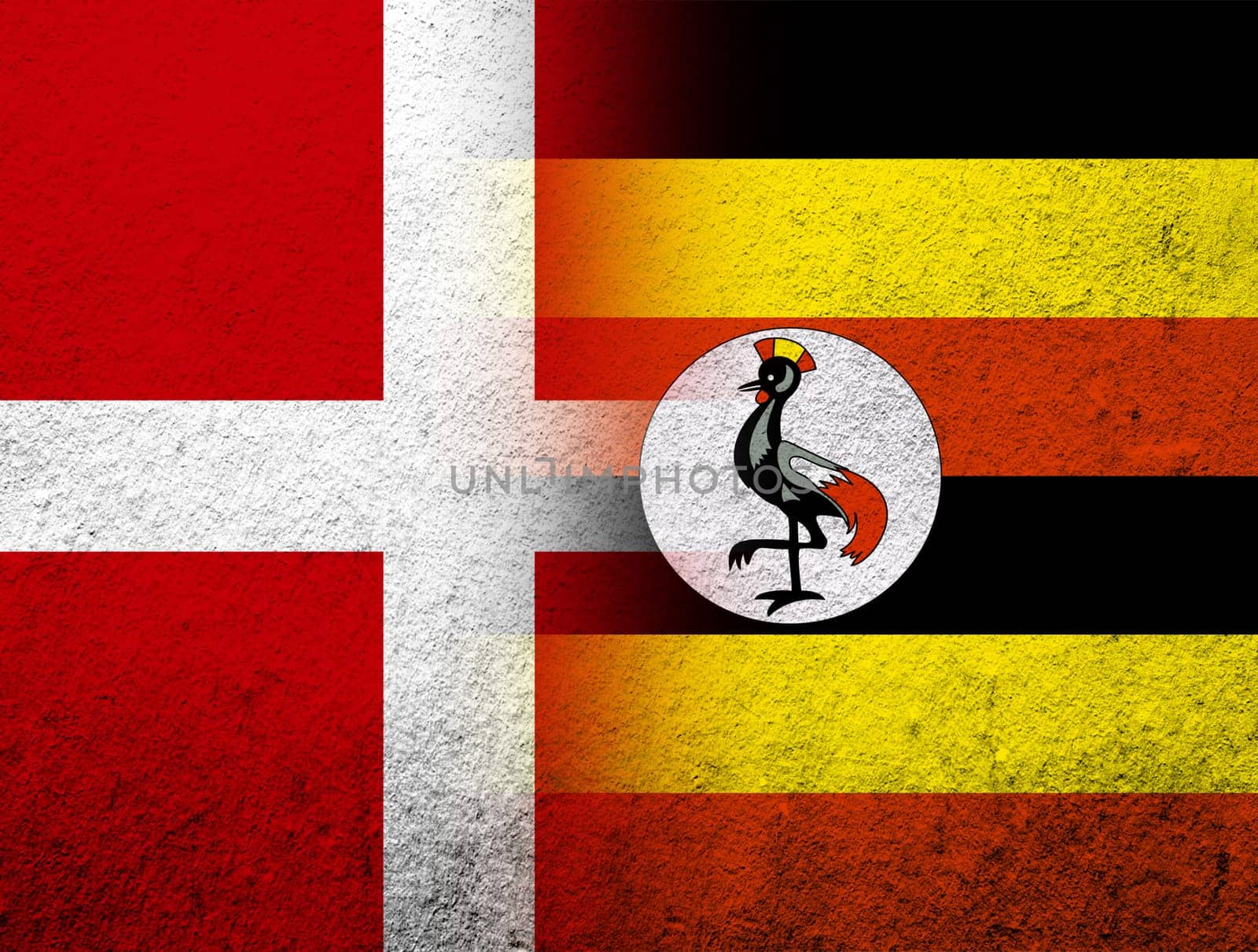 the Kingdom of Denmark National flag with The Republic of Uganda National flag. Grunge Background