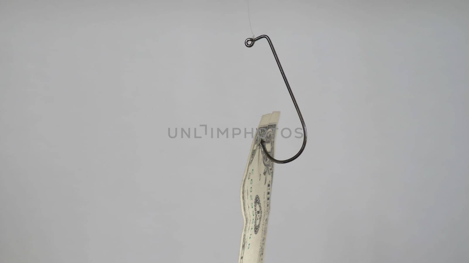 Dollar On A Fishing Hook Isolated On White Background