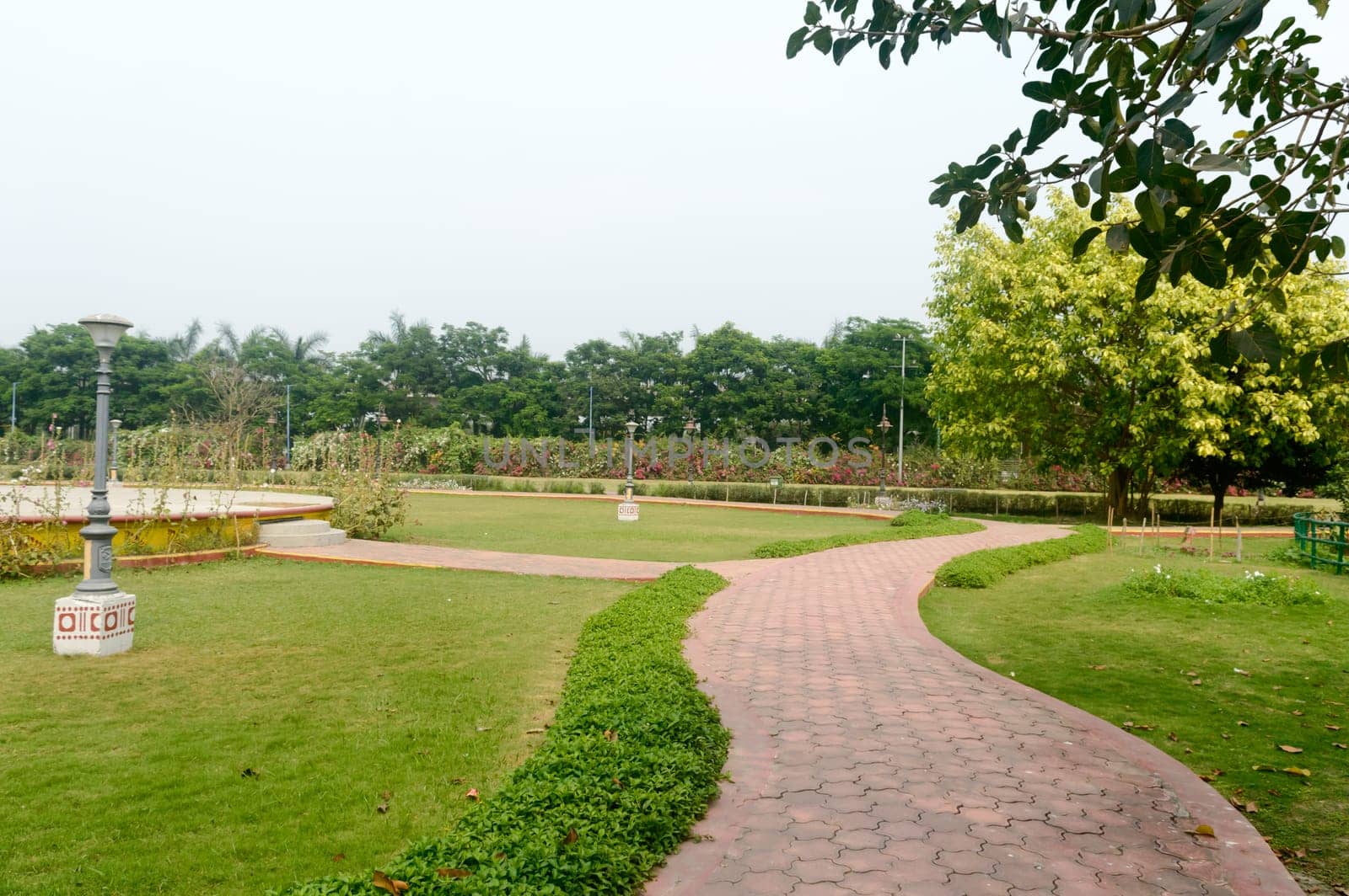 Asphalt footpath in public garden