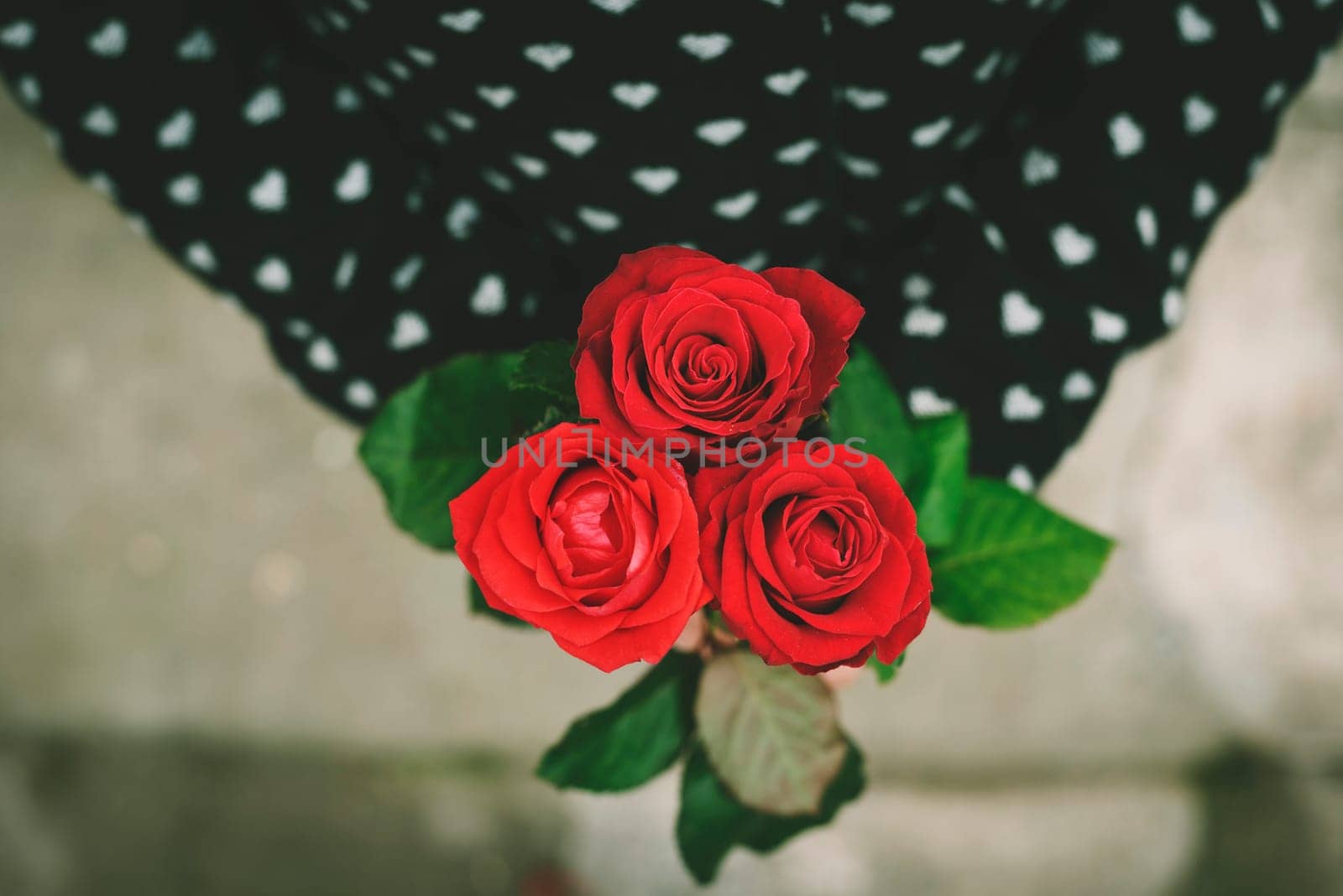 Woman in coat holding red roses in her hands. Retro style.