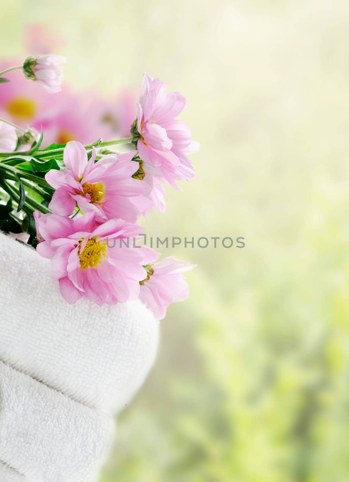 White clean towels and fresh flowers with green natural background