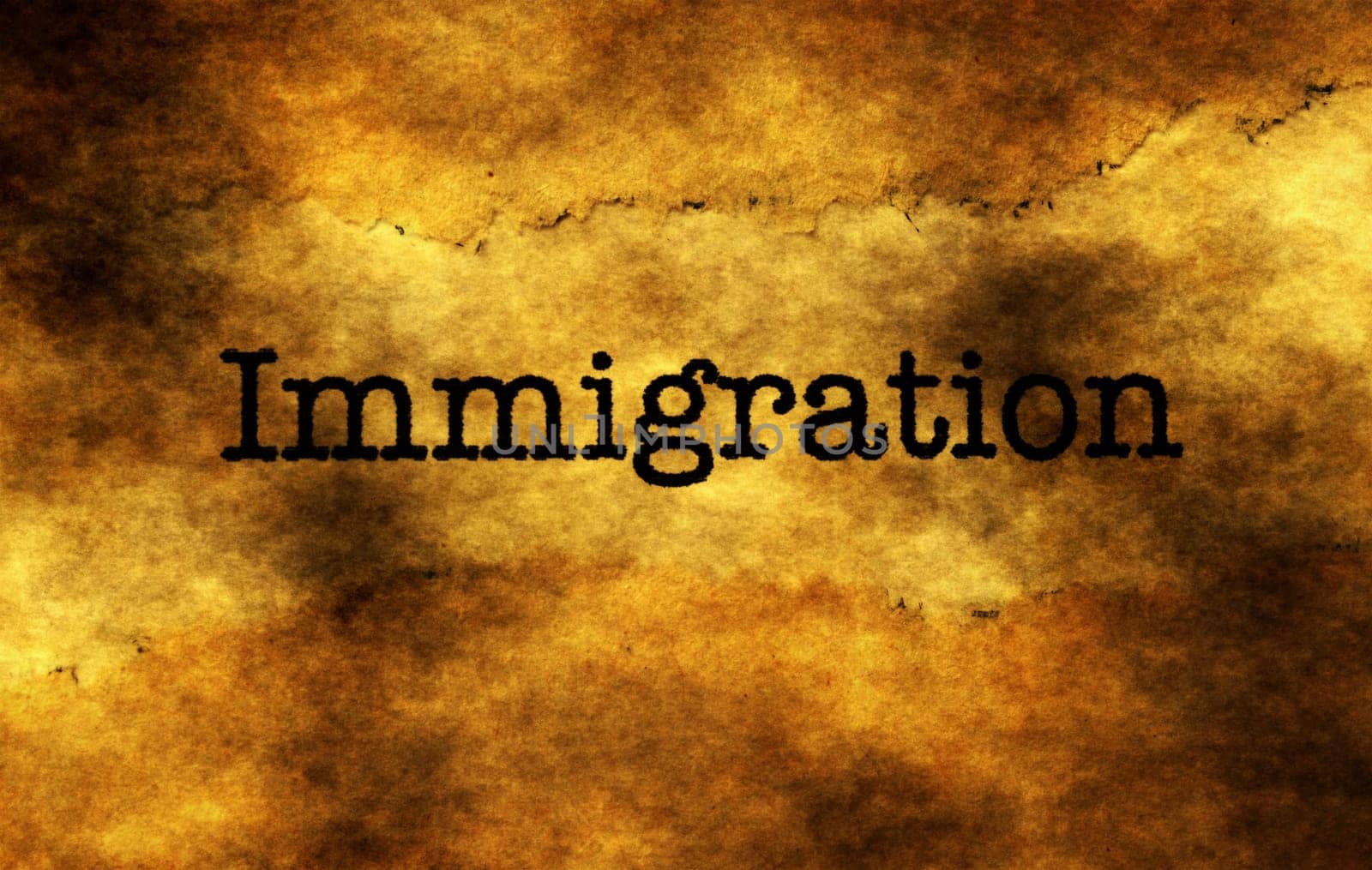 Immigration grunge  concept
