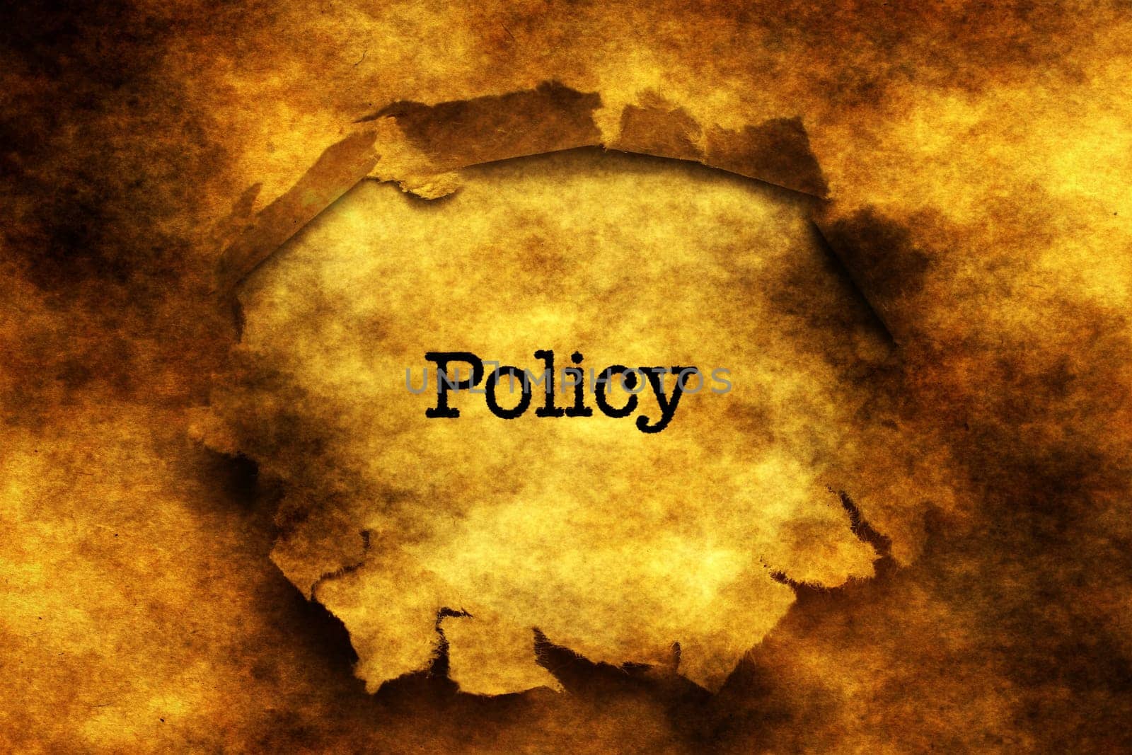 Policy text on  paper hole grunge concept