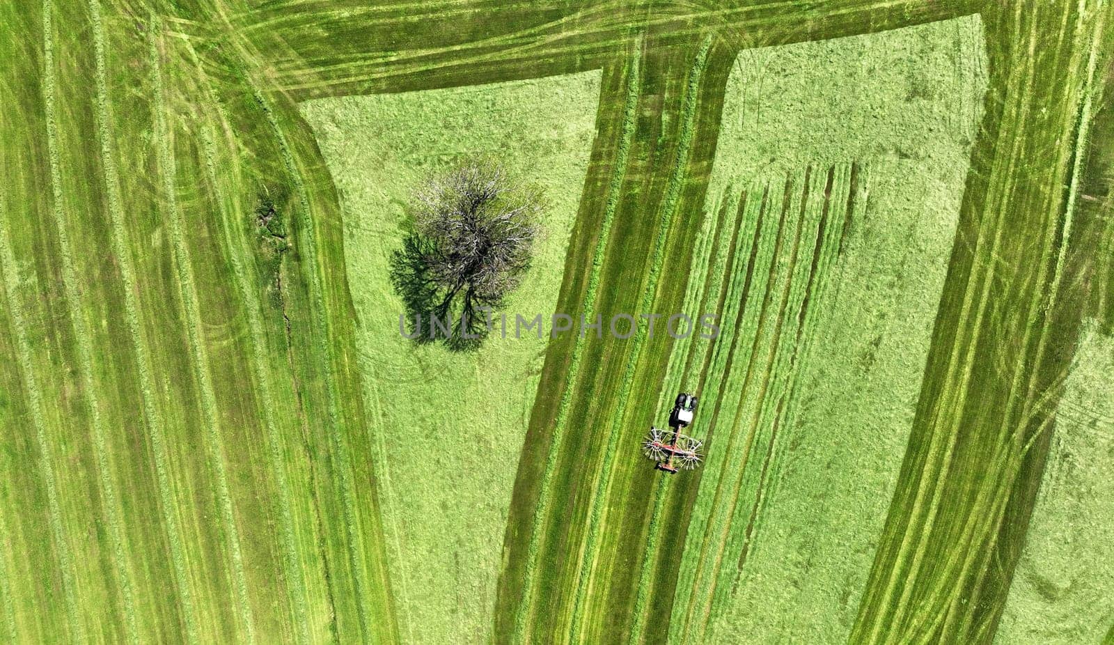Aerial photo with drone of tractor making hay on a meadow with tree in bavaria