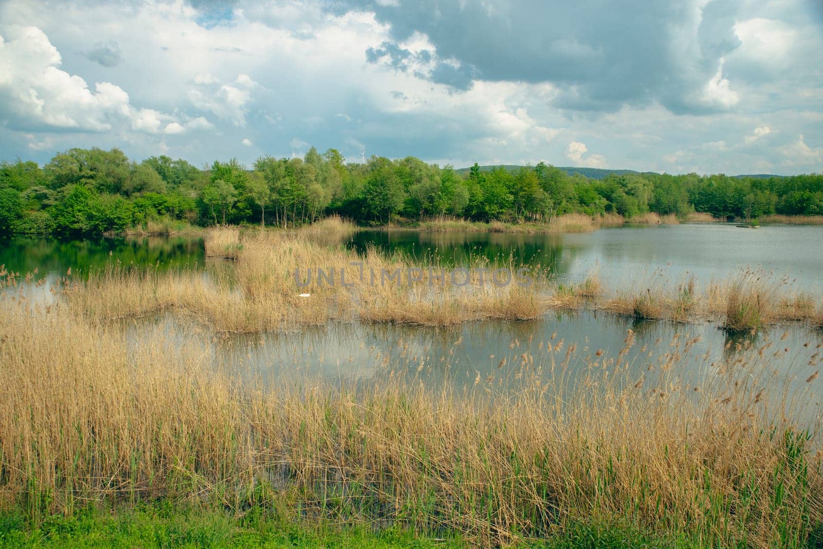 Wetland Haff Reimech in Luxembourg, swamp habitat, nature reserve and biotope