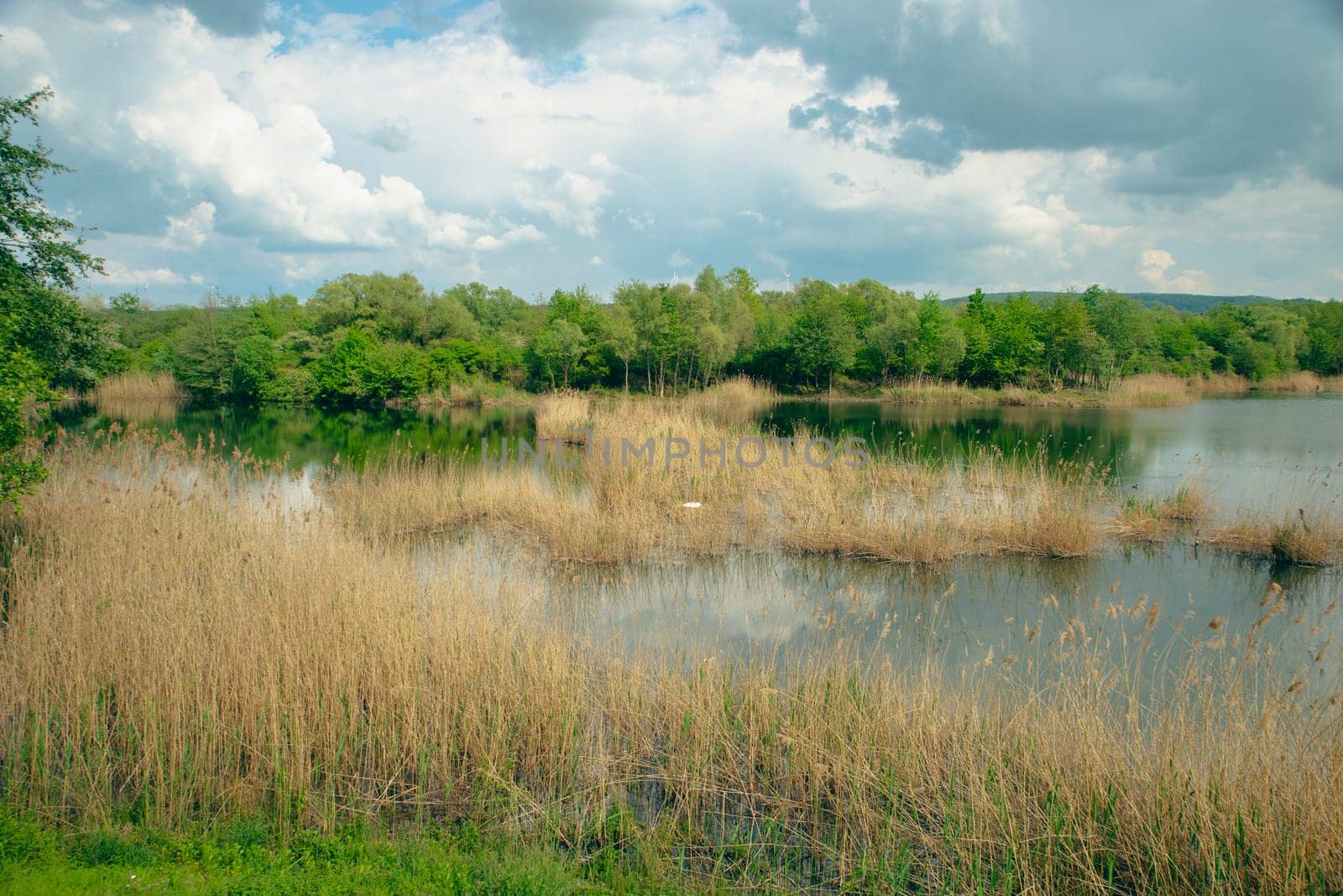 Wetland Haff Reimech in Luxembourg, swamp habitat, nature reserve and biotope