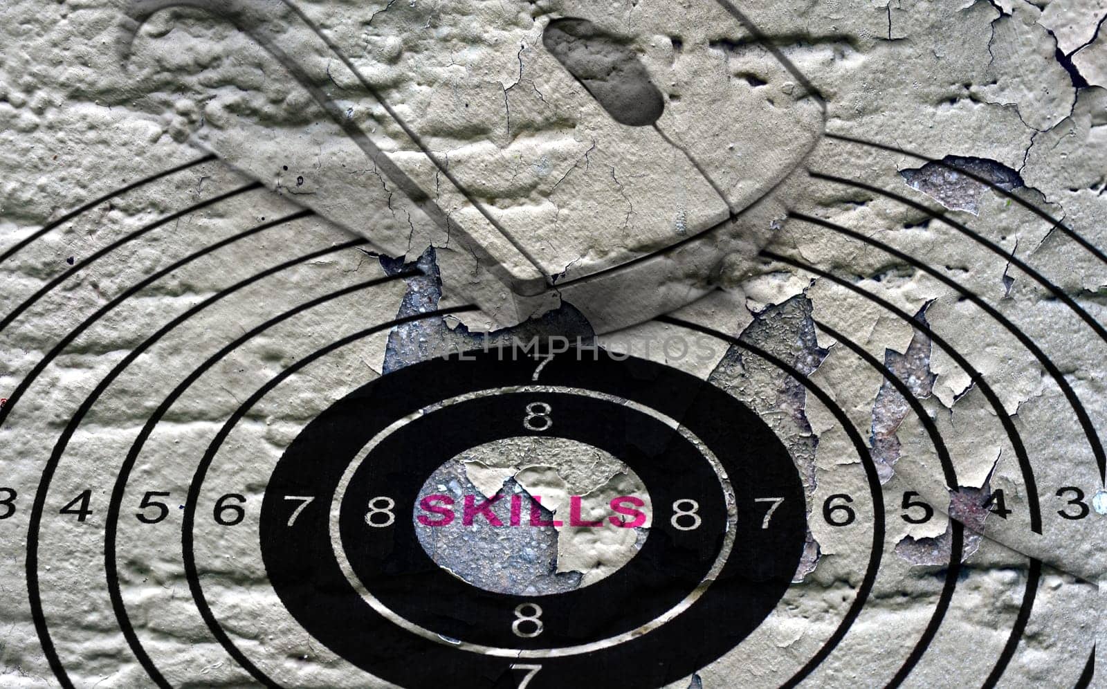 Skills target concept