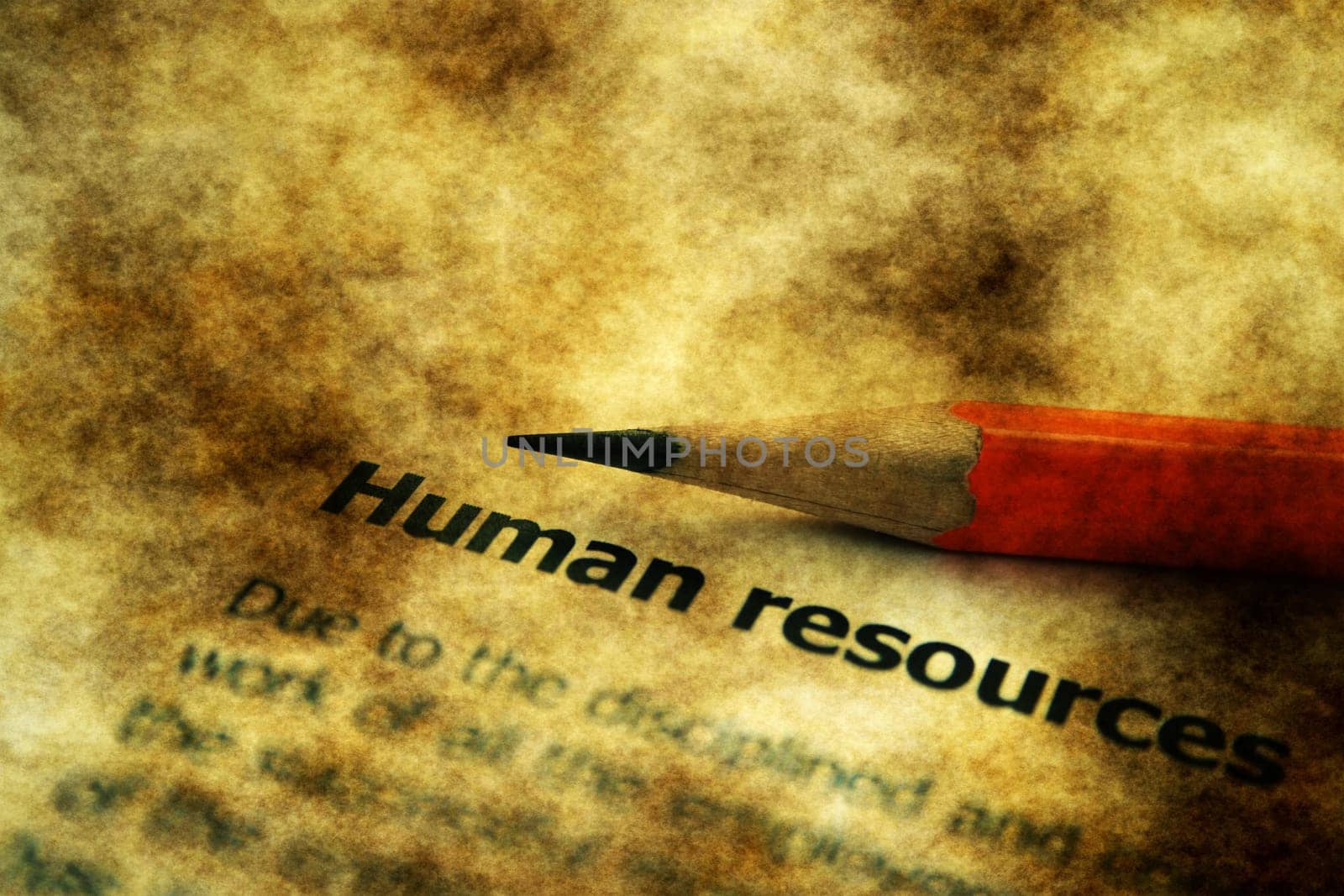 Human resources