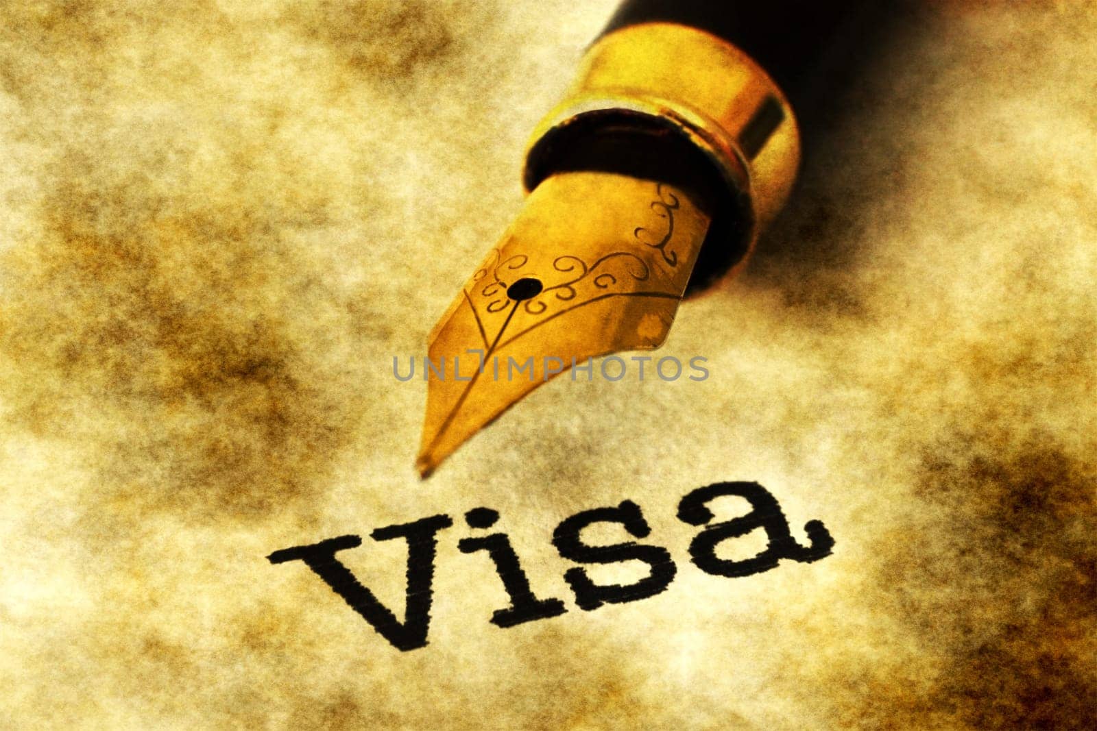 VIsa concept