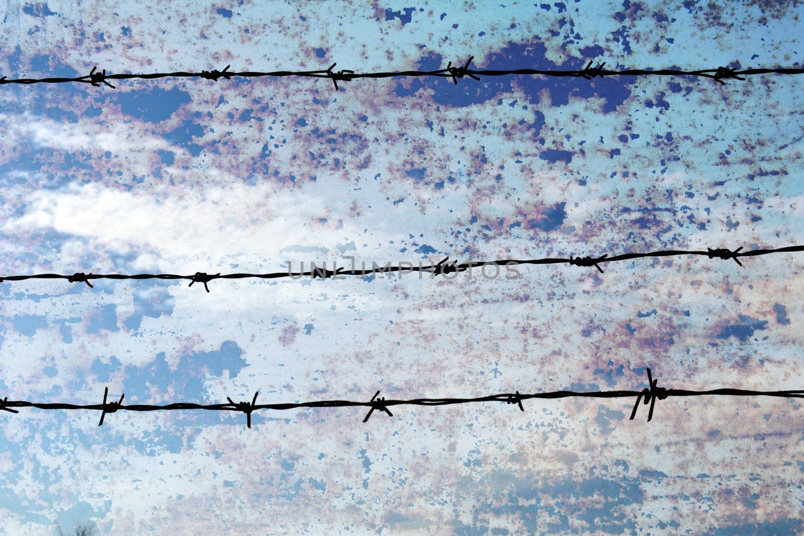 Barbwire