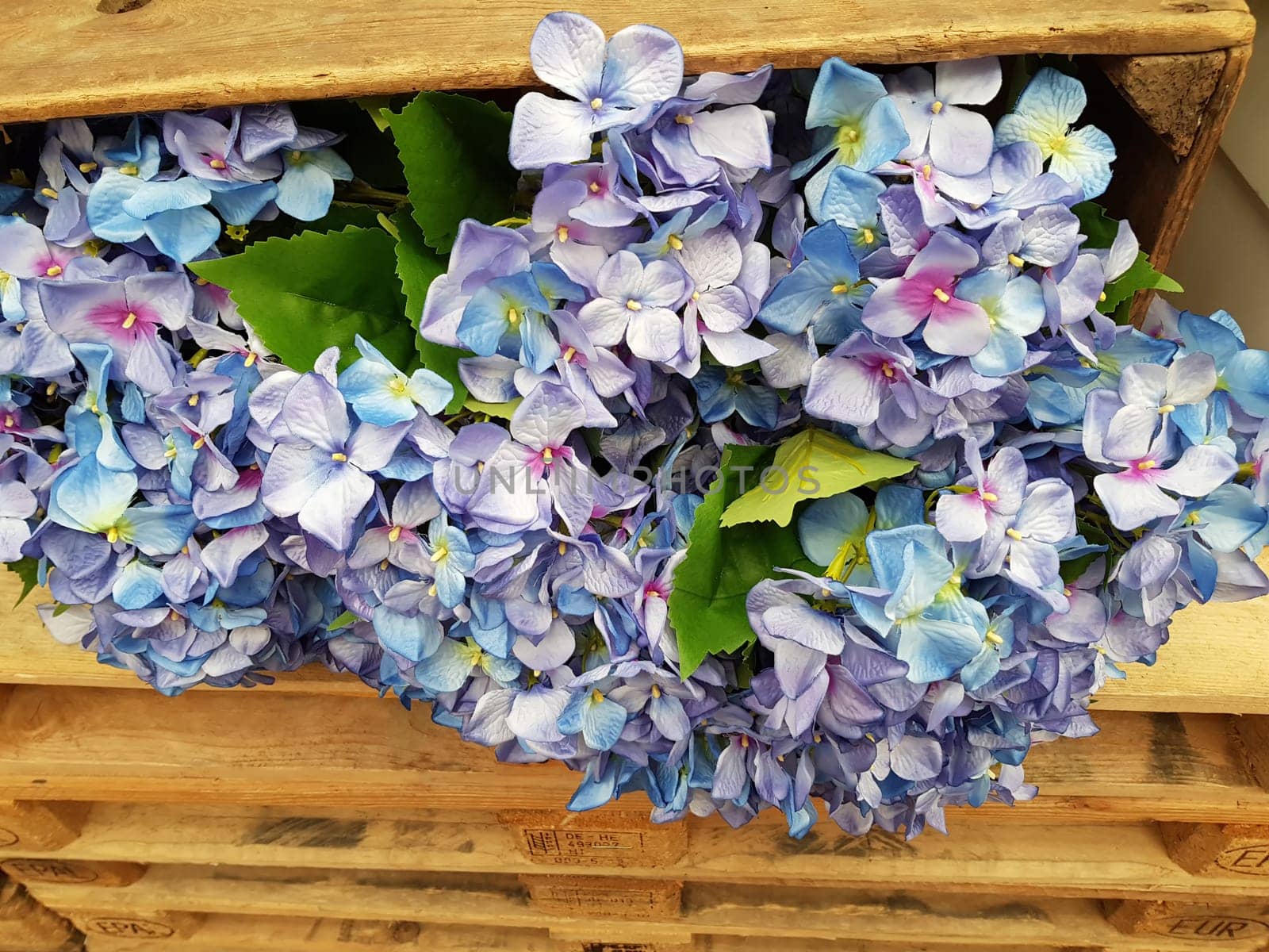 Beautiful flowers background. Abstract background of flowers