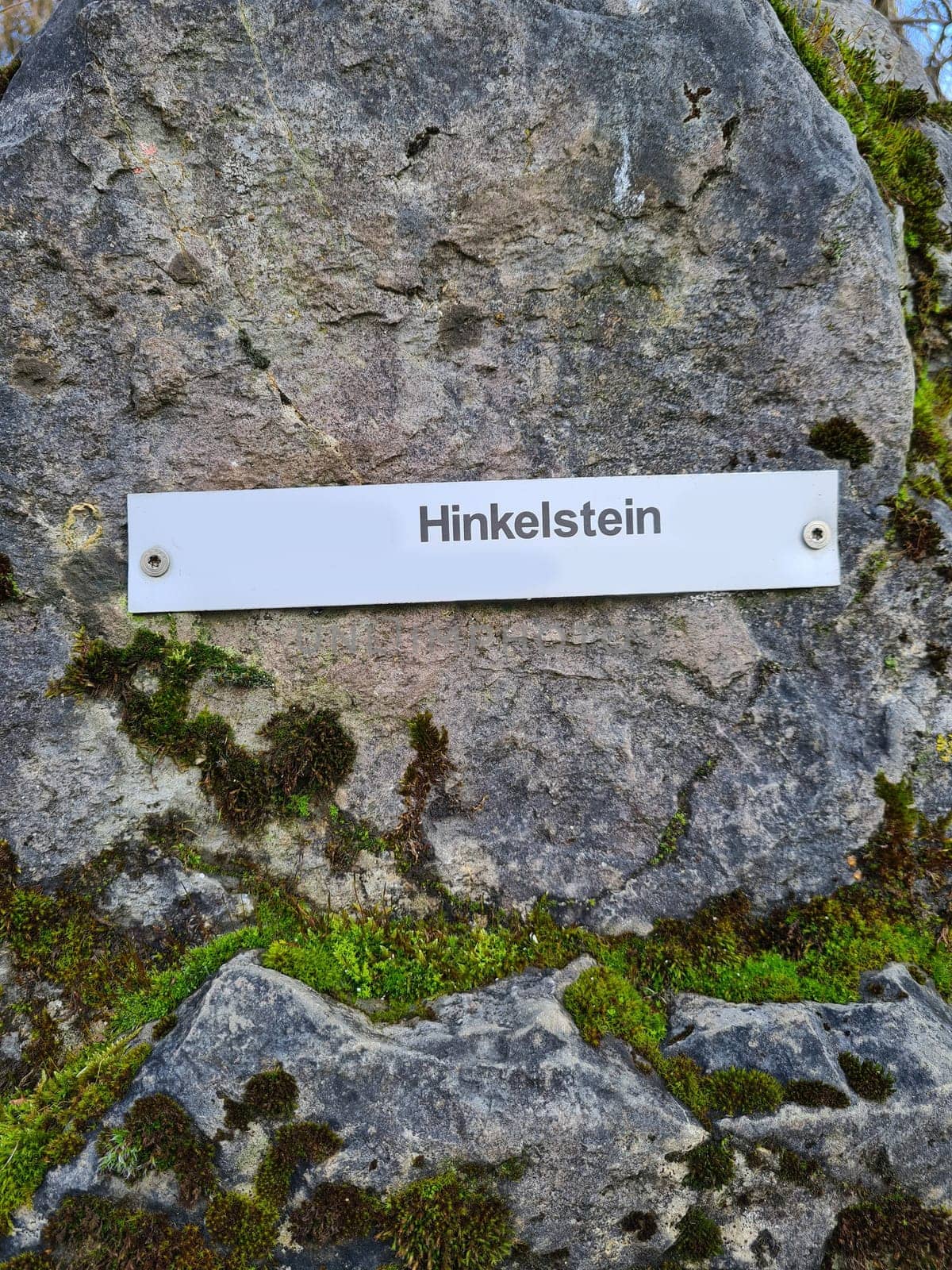 Menhir megalithic stone in Velbert Germany with inscription in Deutsch- Hinkelstein. Large megalithic stone, as a field archaeological monument.