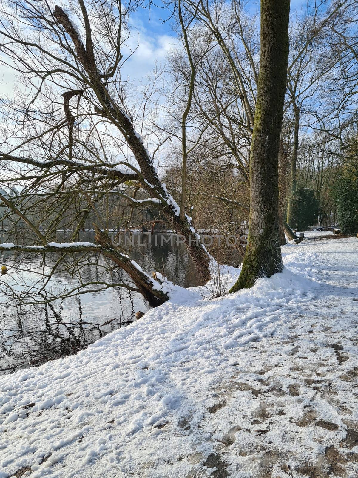 Calm pond on cold winter day. Peaceful lake water and snowy coast on cold gray day in winter countryside