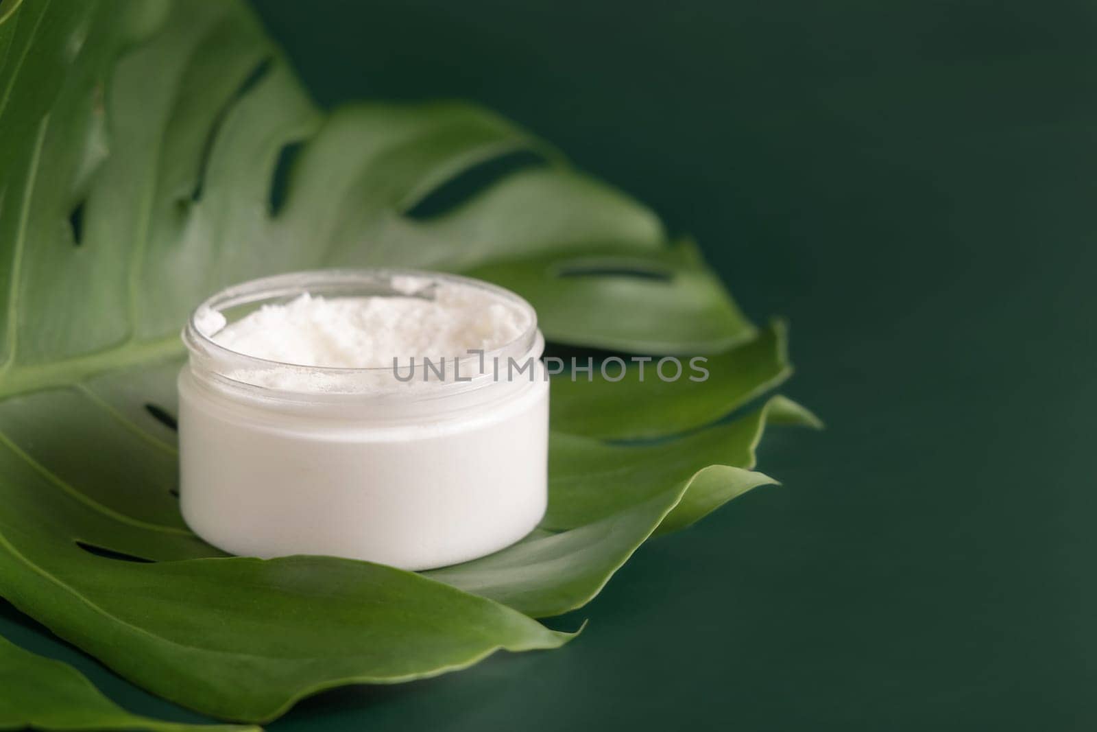 Opened White jar on monstera leaf on green table close up. Brand packaging mockup. Skincare beauty product, cream or butter. Making homemade herbal cosmetics from natural ingredients..