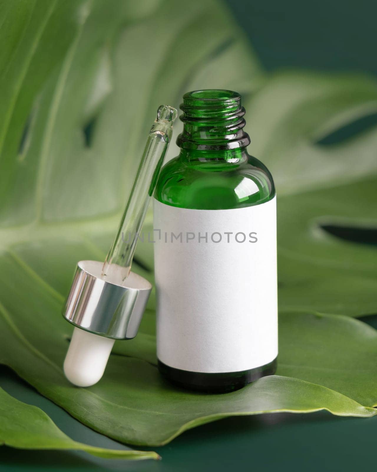 Opened Dropper Bottle on tropical monstera leaf on green table close up. Brand packaging mockup. Aromatic oil, skincare beauty product, cream or serum. Natural herbal cosmetics concept..