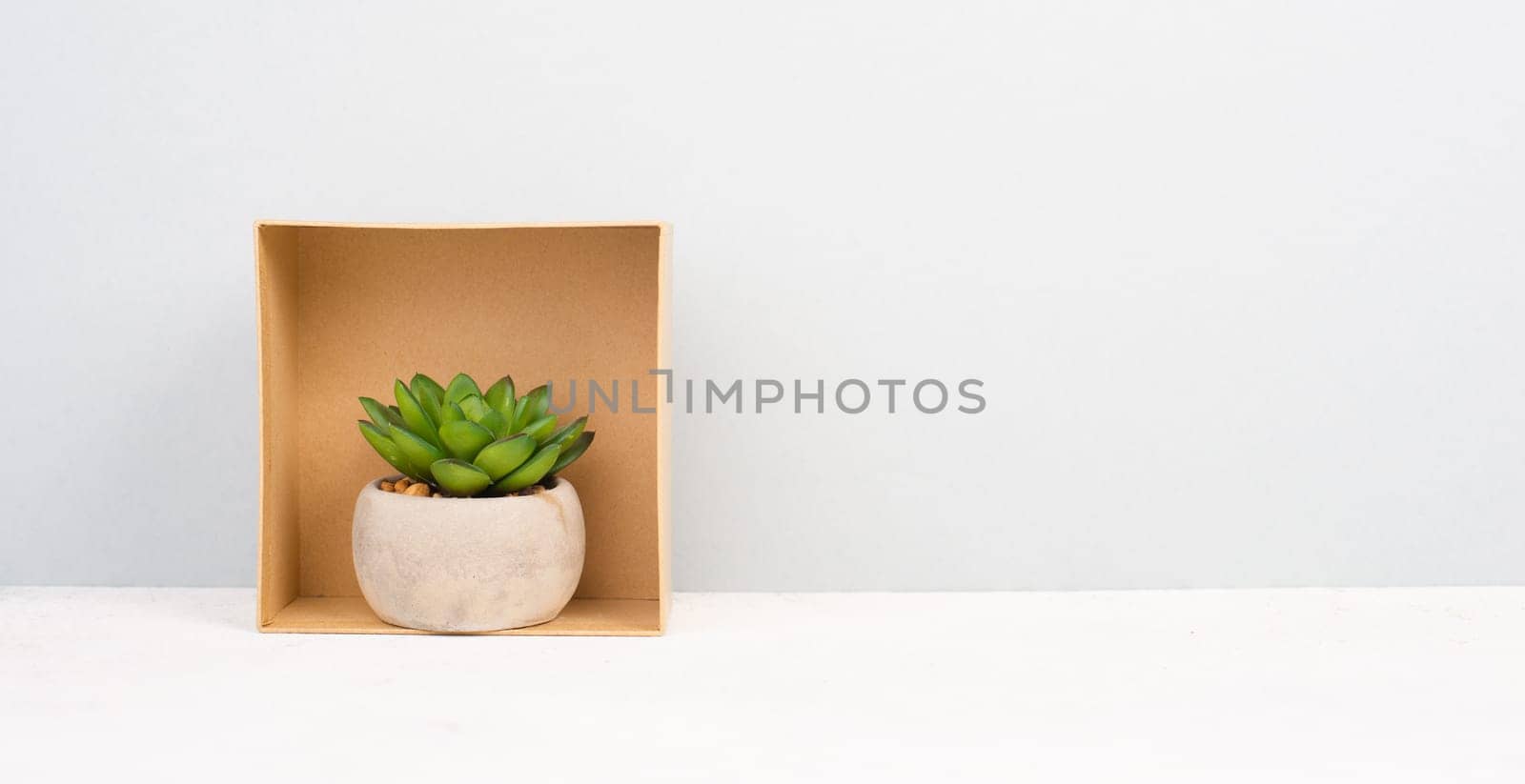 Cactus in a pot on a grey background, minimalistic decoration, plant at the desk inside a gift box, copy space for text, modern home