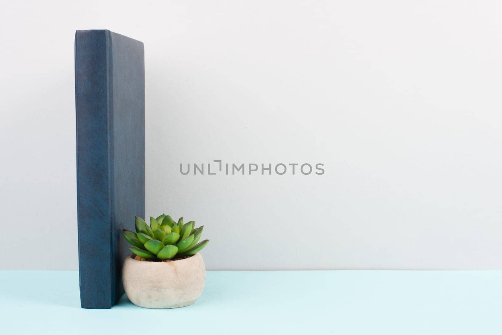 Cactus in a pot on a blue and grey background, minimalistic decoration, plant stands beside a book at the desk, copy space for text, modern home