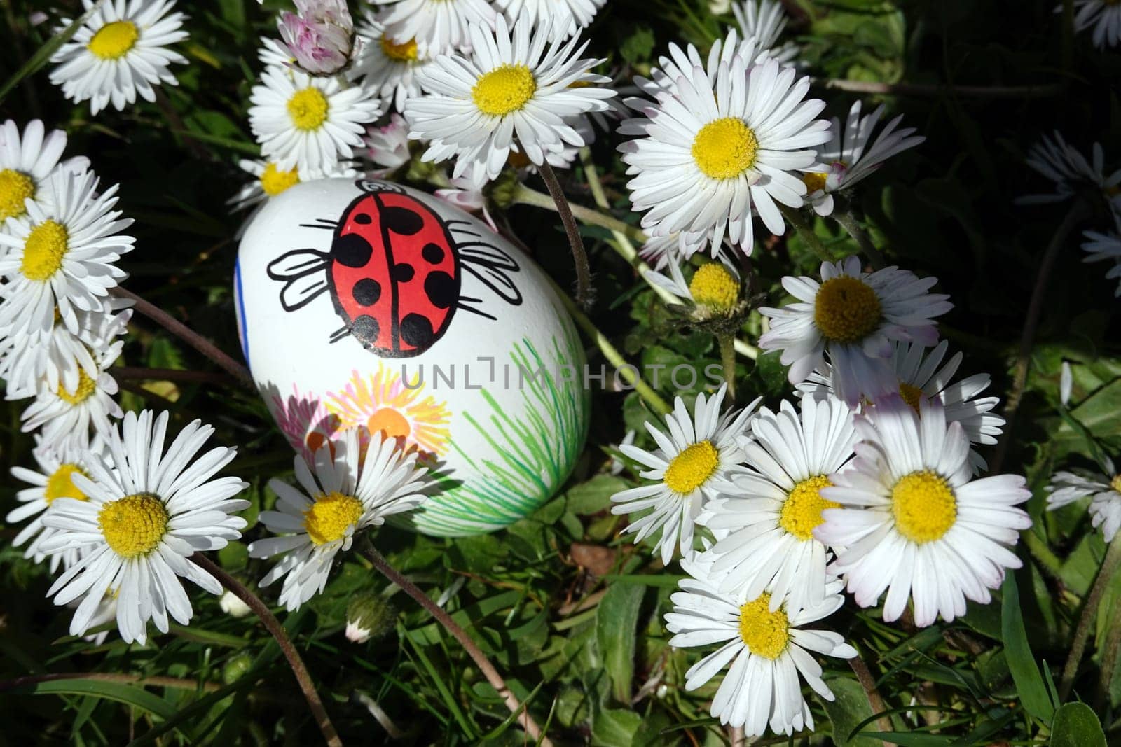 handbemaltes Osterei zwischen Gänseblümchen, Nordrhein-Westfalen, Deutschland